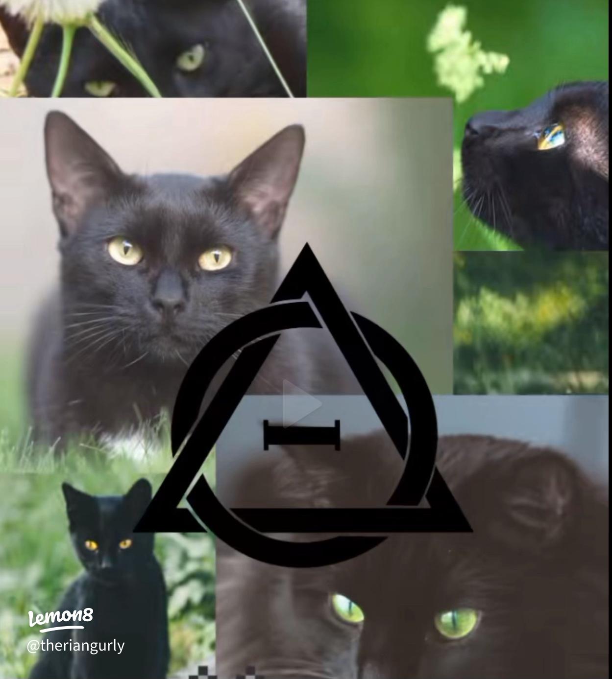 Adorable Wallpaper for Therians: Celebrate Your Inner Animal!