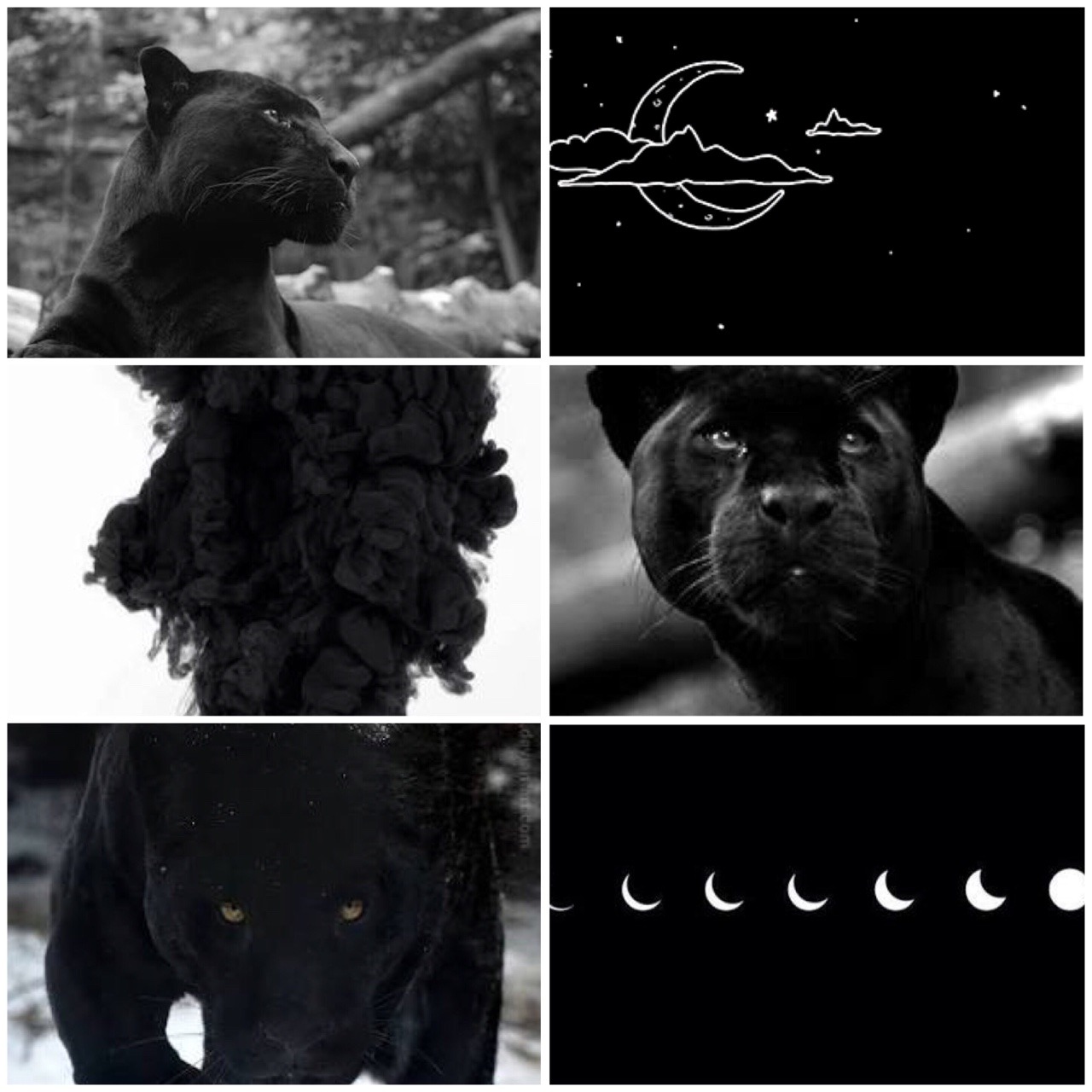 Cat Therian + Catkin Positivity ♡