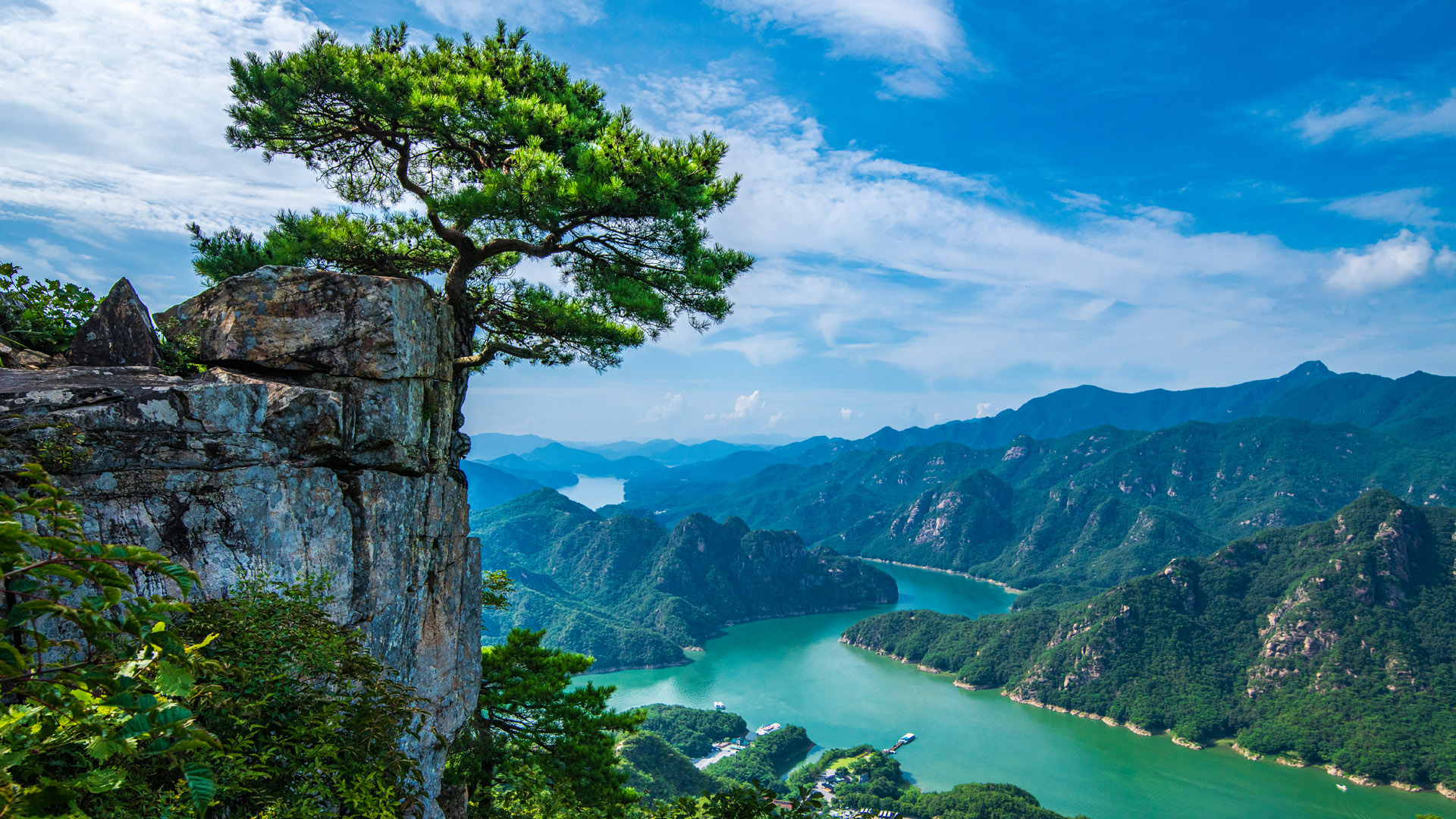 Trees standing on rocks over river, Chepibong Mountain, Woraksan National Park, South Korea. Windows Spotlight Image