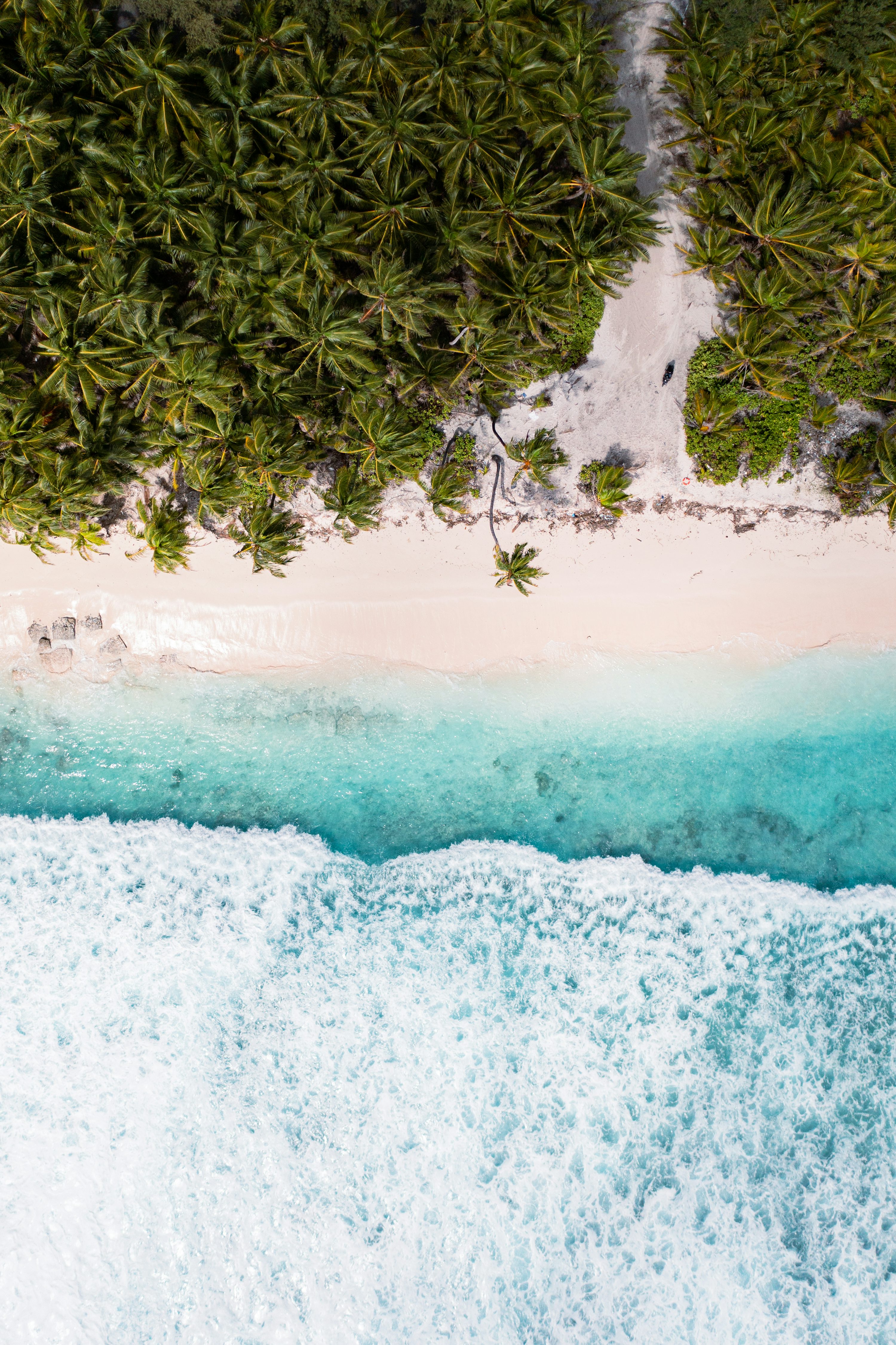 An aerial view of a sandy beach with palm trees photo