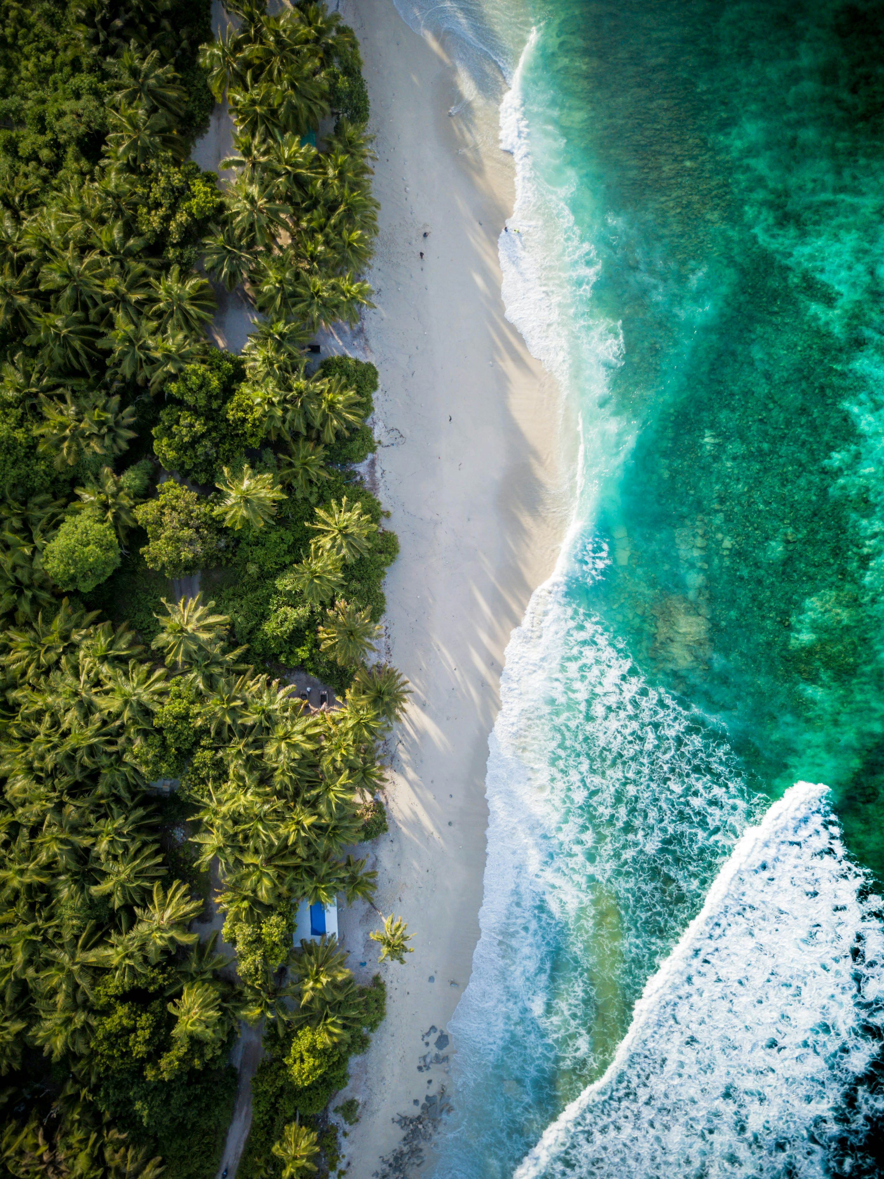 Aerial view of beach photo