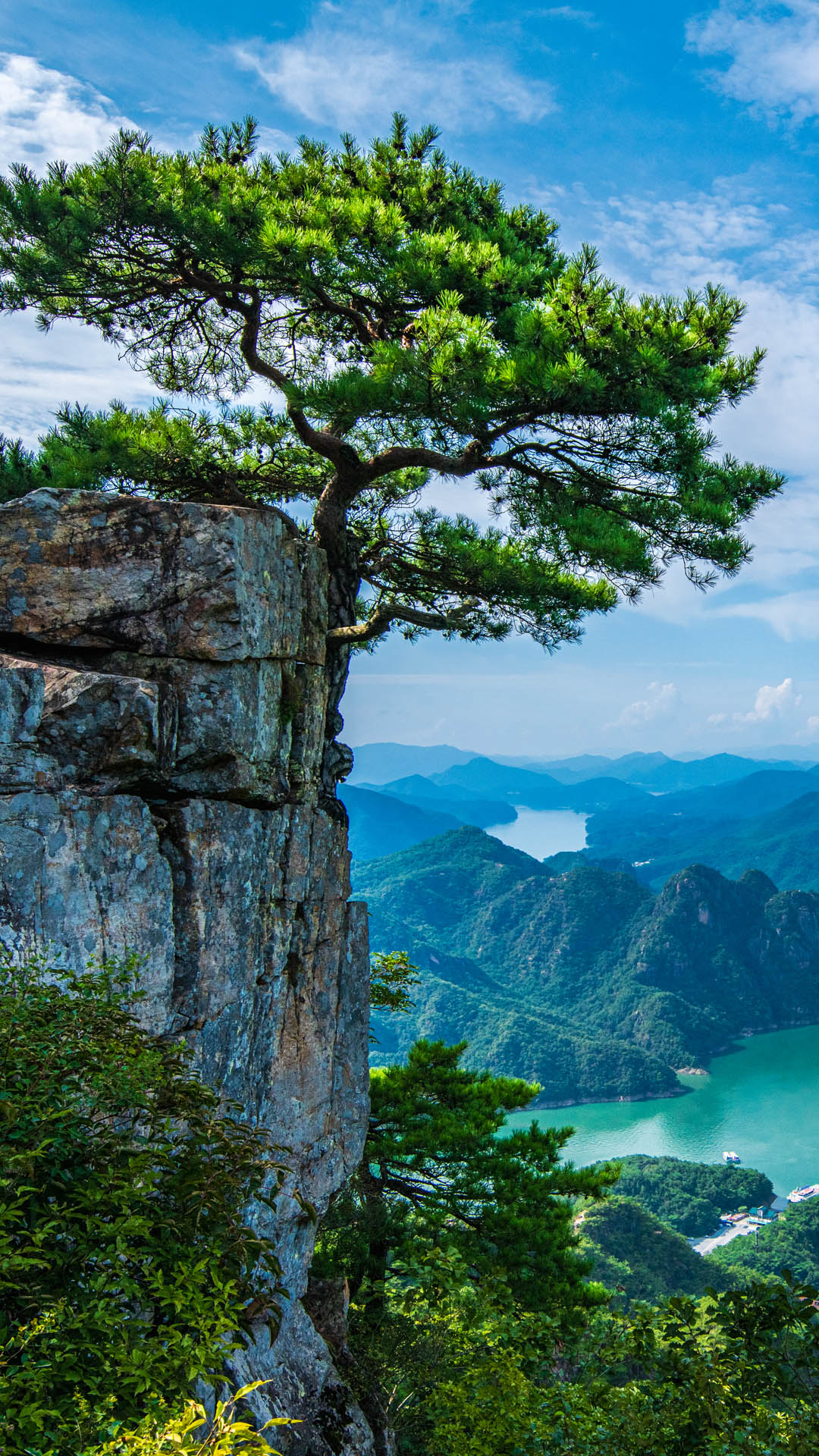 Trees standing on rocks over river, Chepibong Mountain, Woraksan National Park, South Korea. Windows Spotlight Image