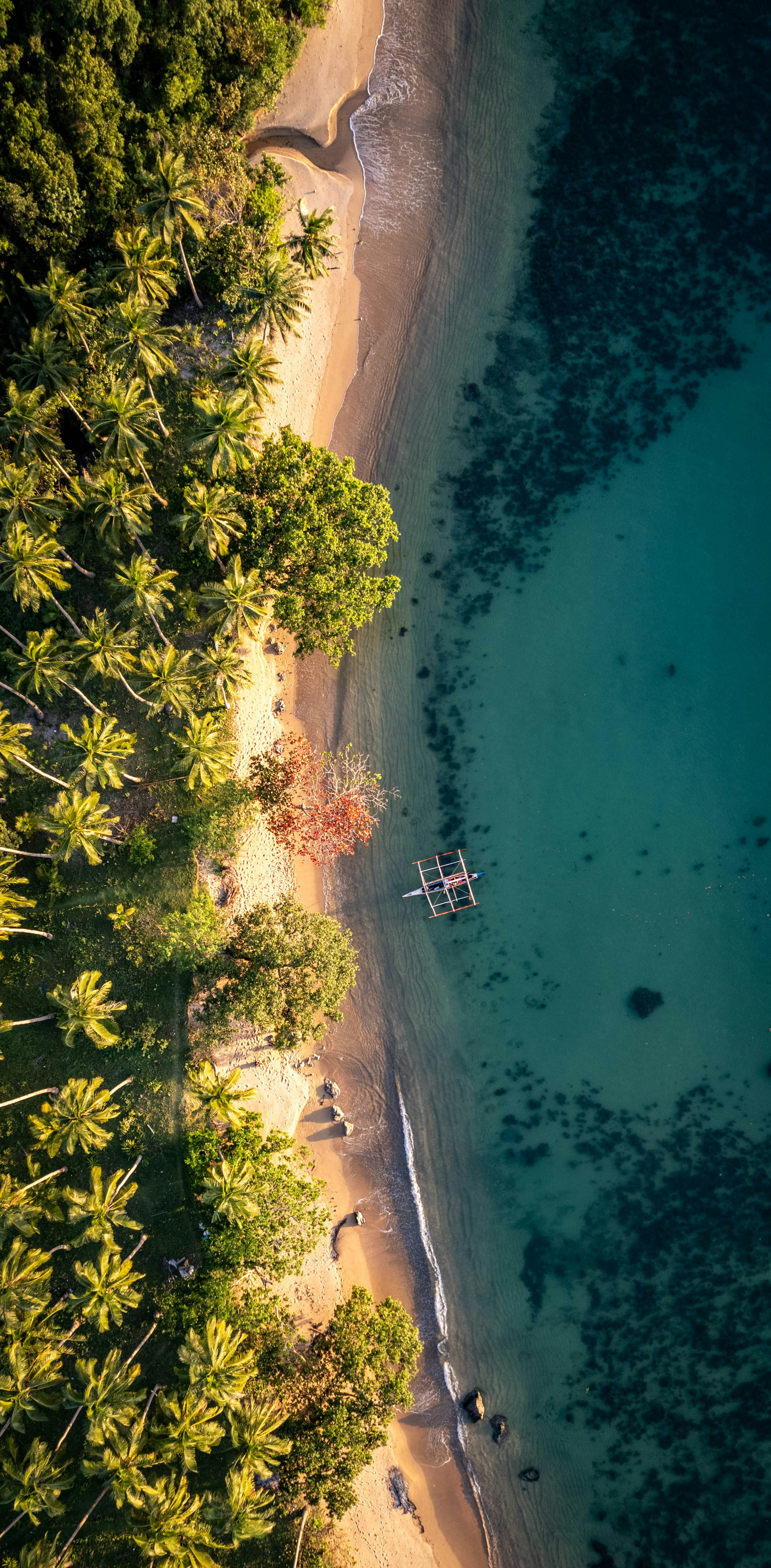 Aerial view of a tropical beach with turquoise water. photo