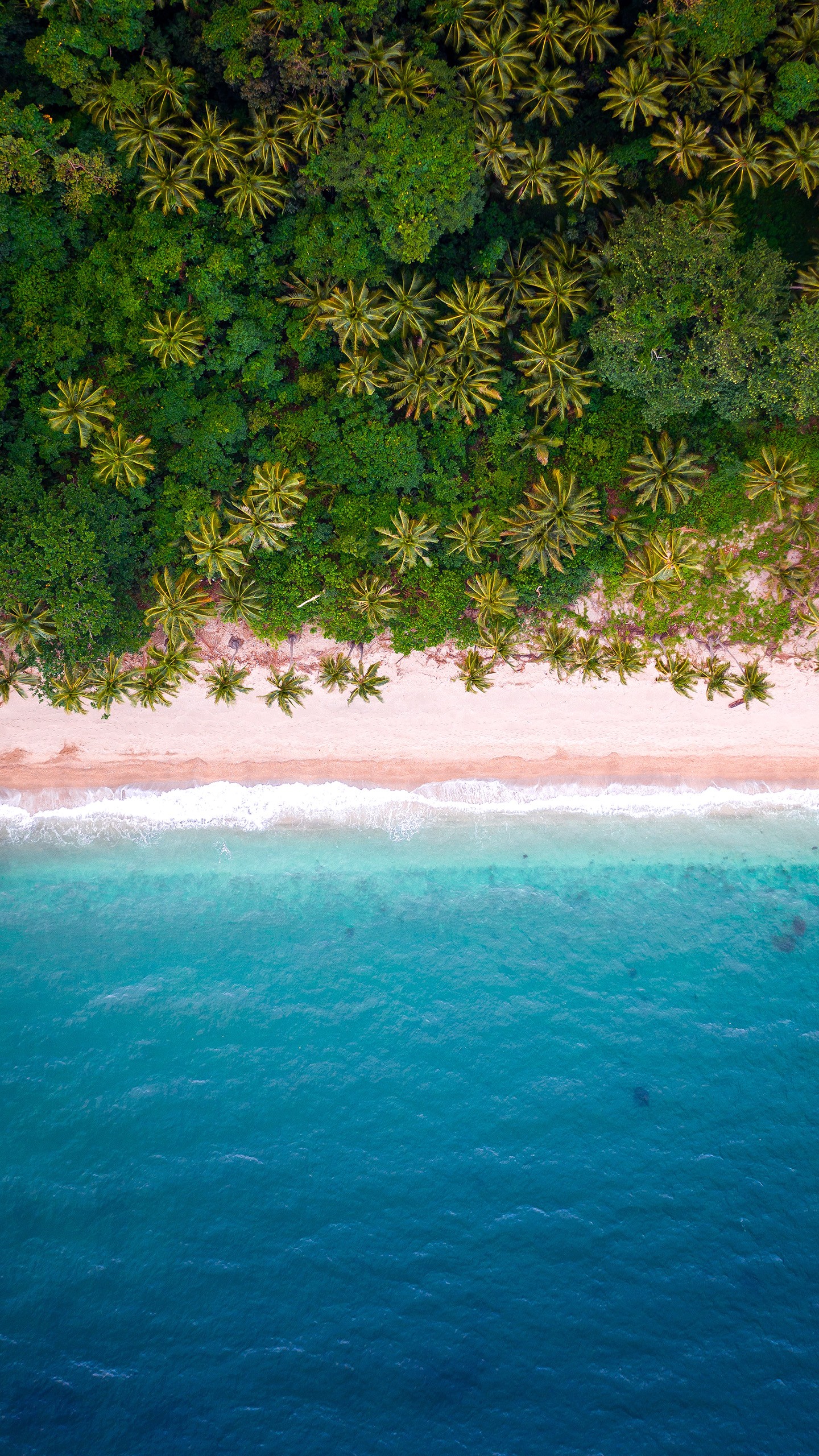Tropical Beach Aerial View Wallpaper