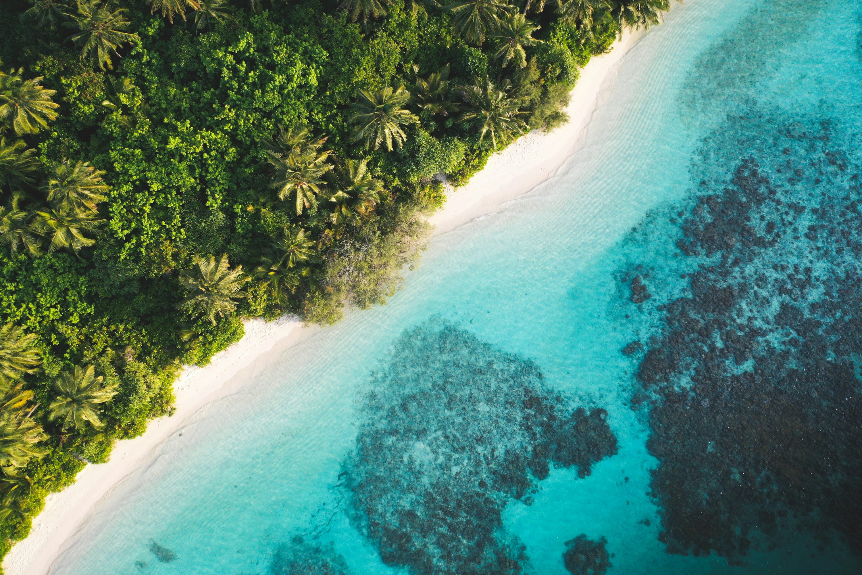 An aerial view of a tropical beach and lagoon photo