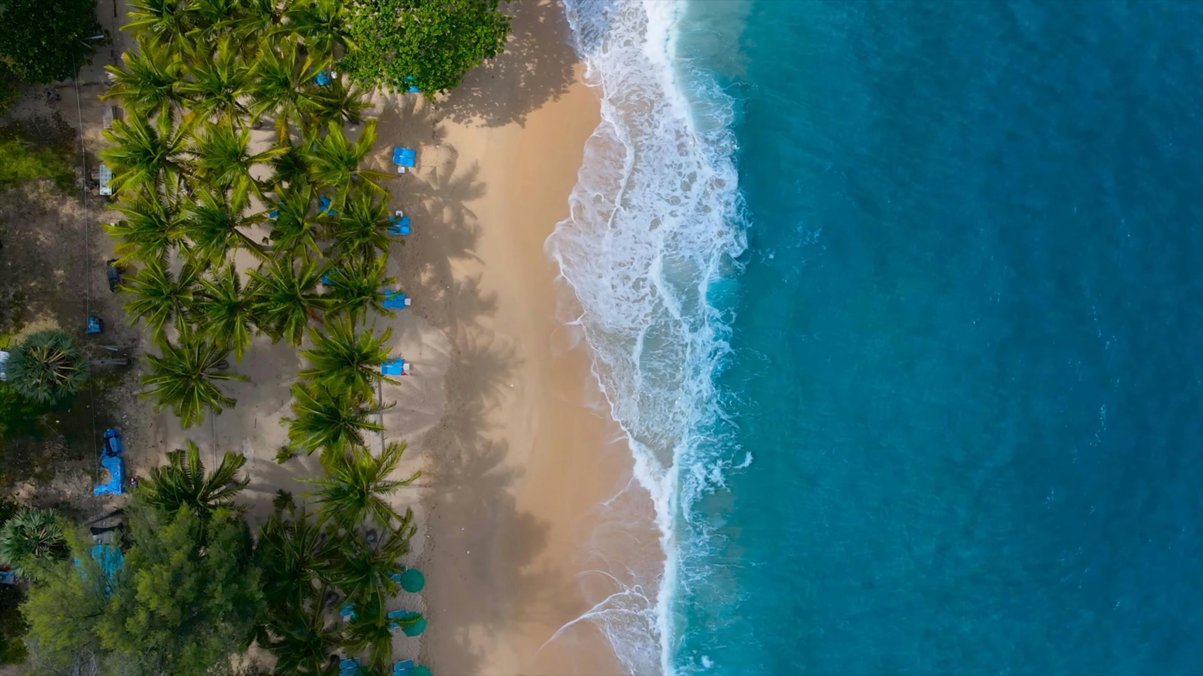 Top View of a Tropical Beach · Free