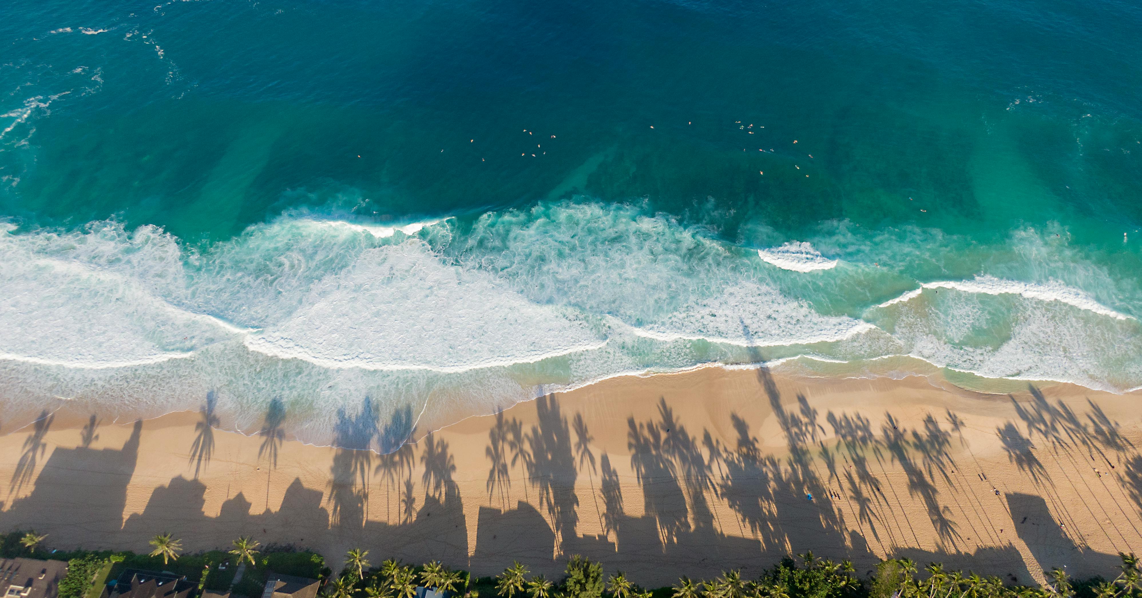 Aerial Photo of a Beach · Free