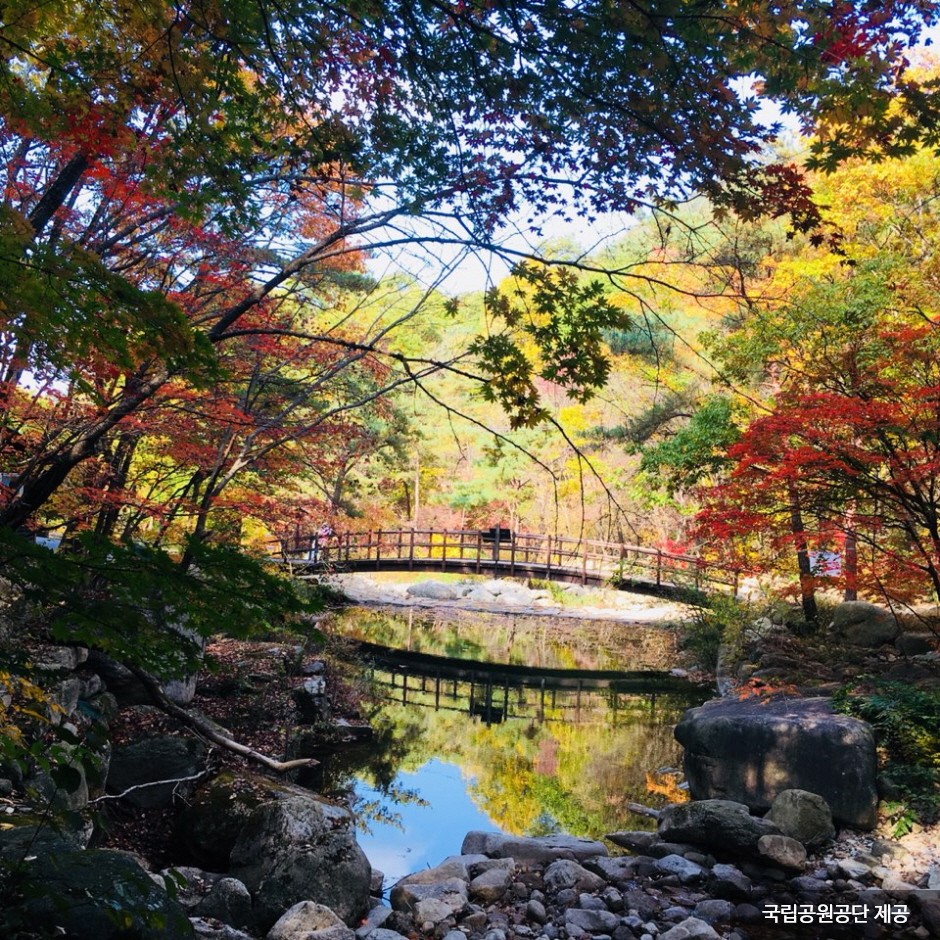 Woraksan National Park (월악산국립공원)