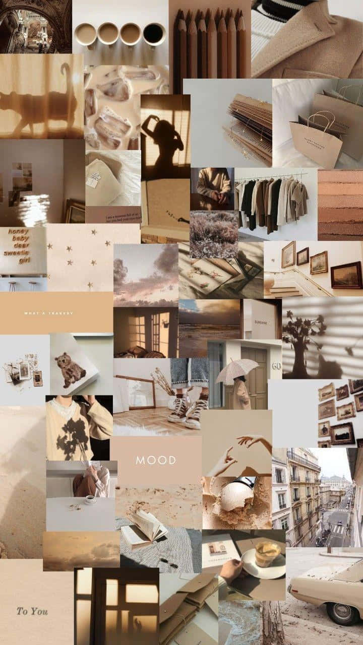 Download A warm, inviting earth tone aesthetic in shades of chocolate browns