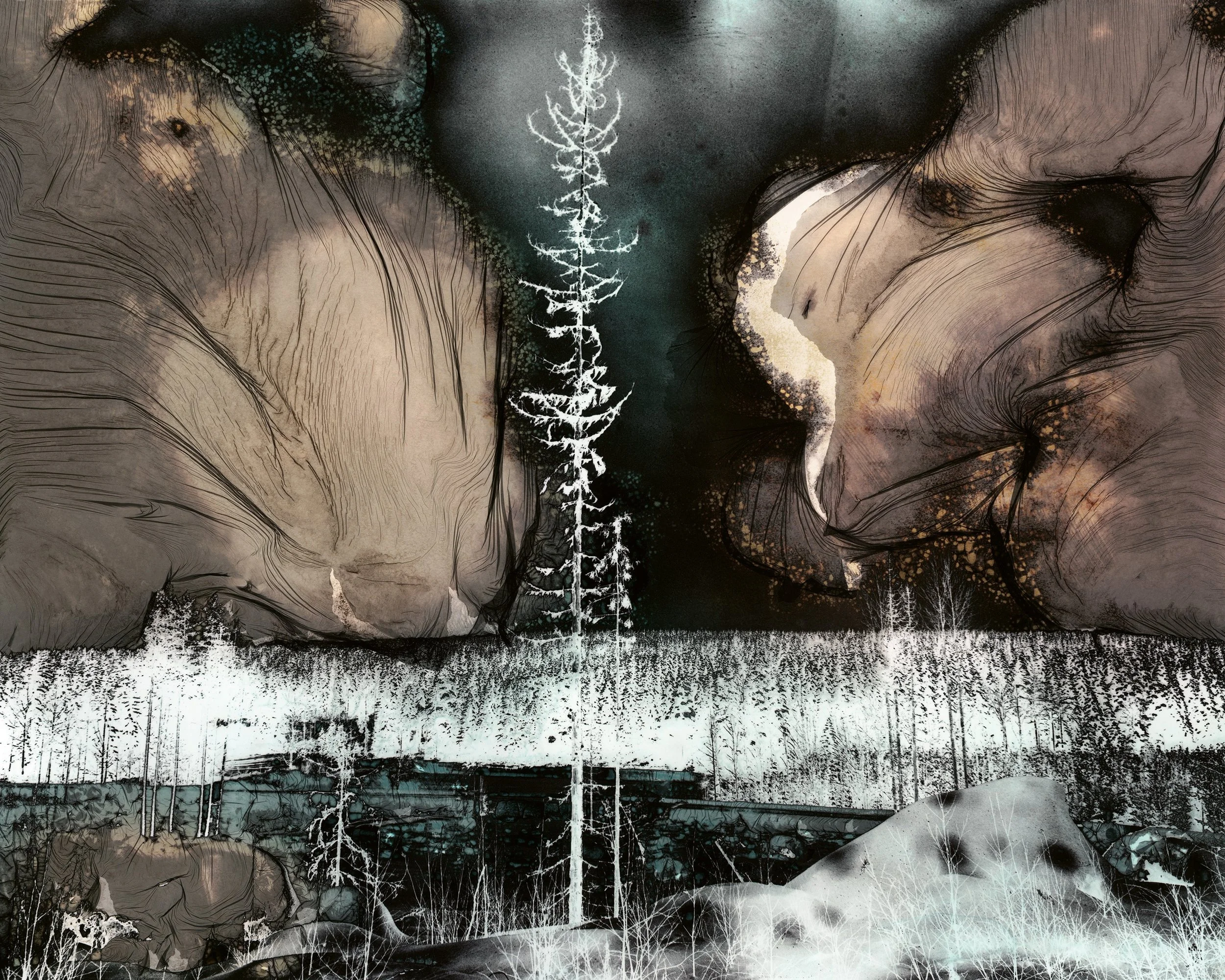 The Dissolving Landscape: Ella Morton