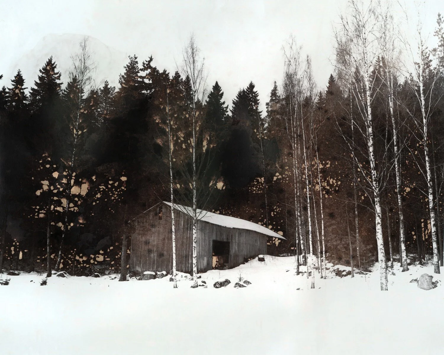 Interview: Ella Morton Dissolving Landscape. Analog Forever Magazine