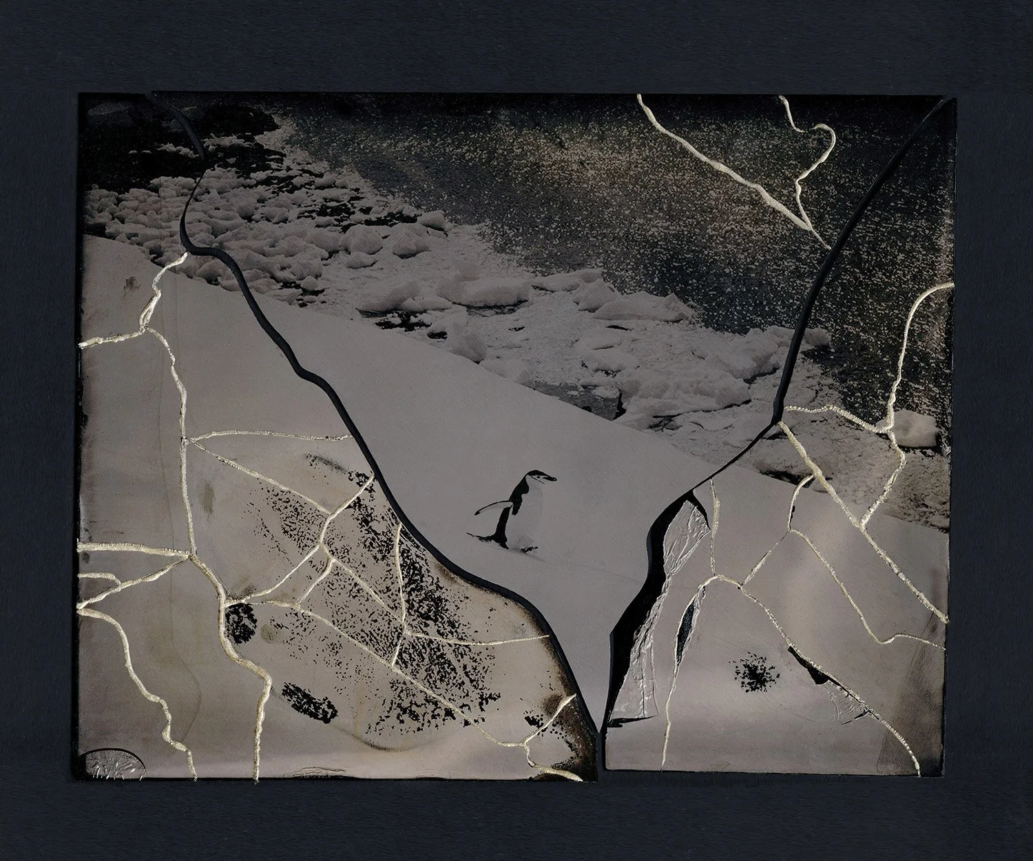 Ella Morton: Interviews