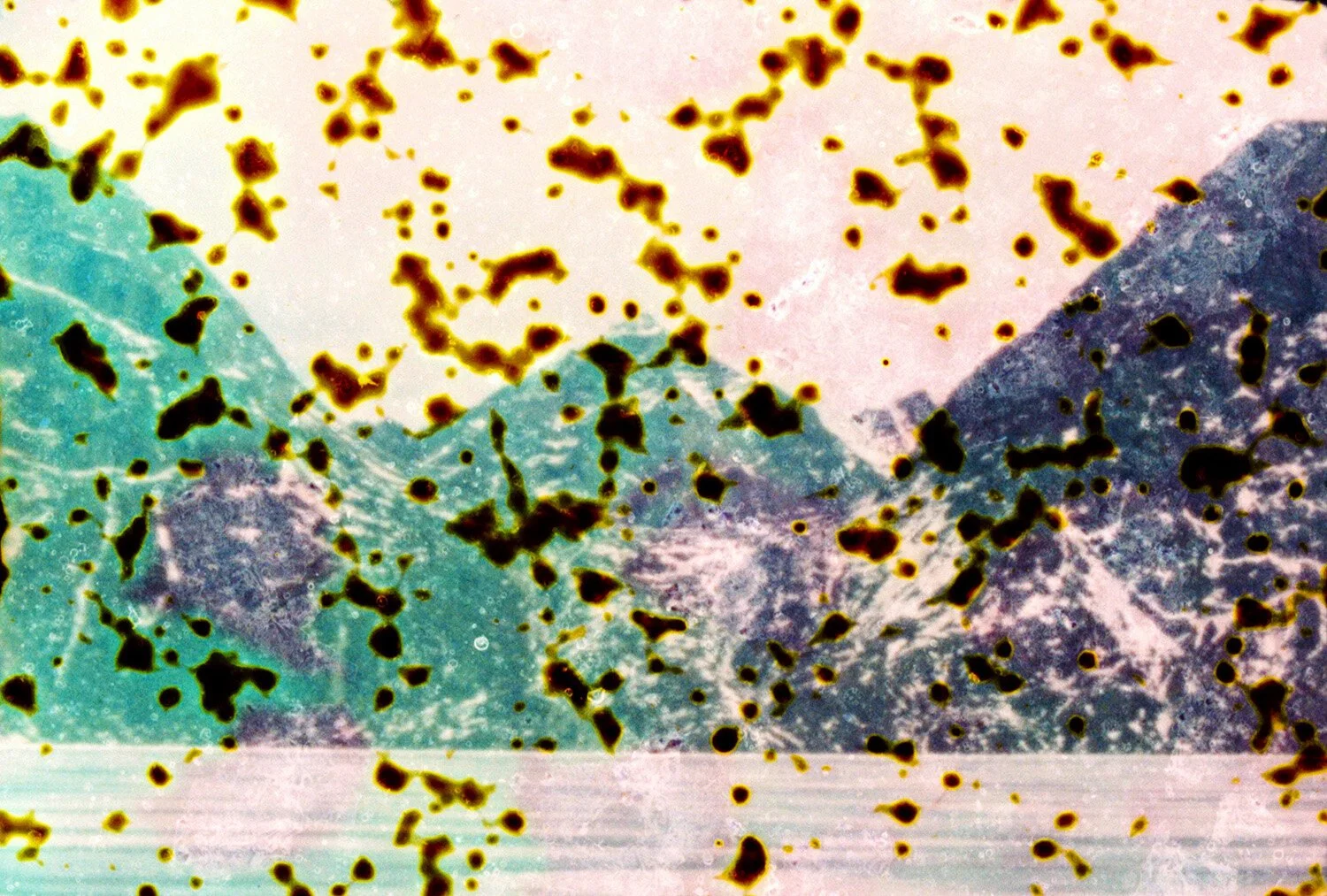 Interview: Ella Morton Dissolving Landscape. Analog Forever Magazine