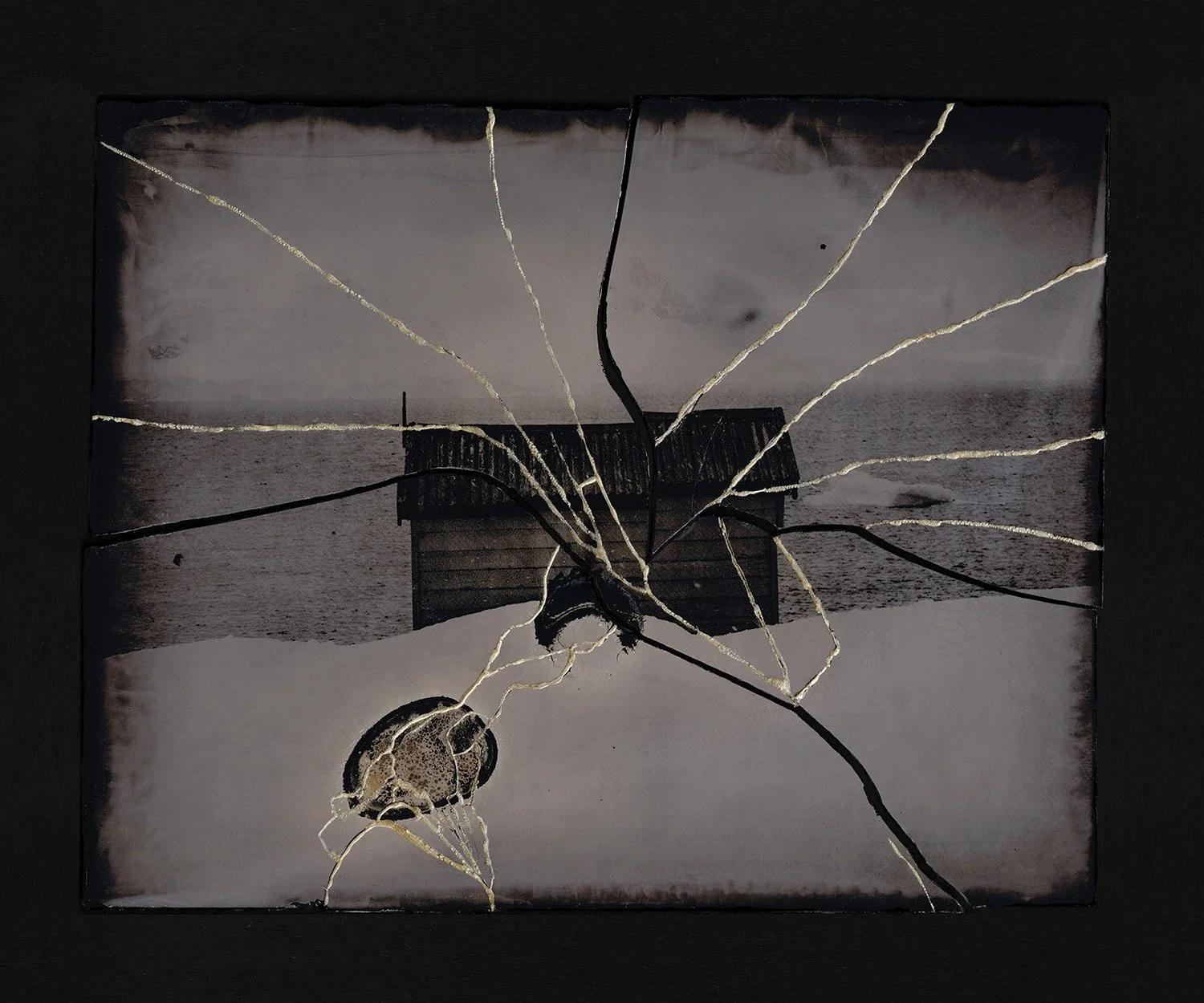 Ella Morton: Interviews