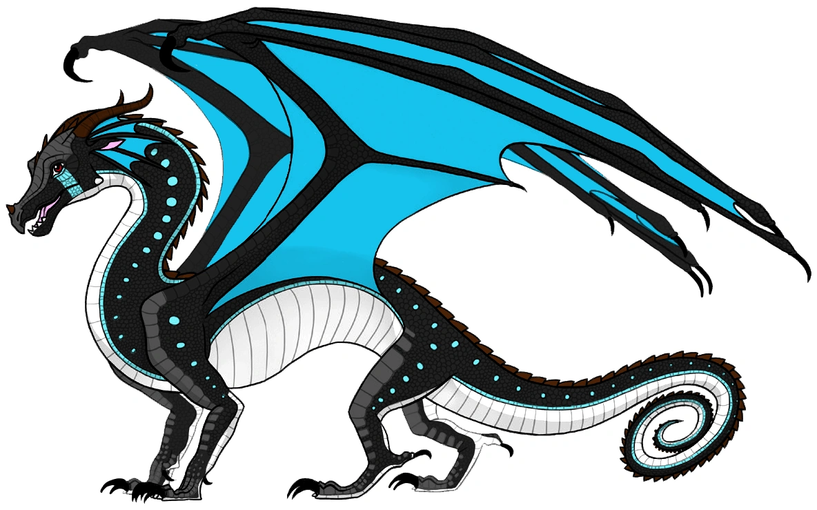 Paradox the RainWing. Wings of Fire Fanon