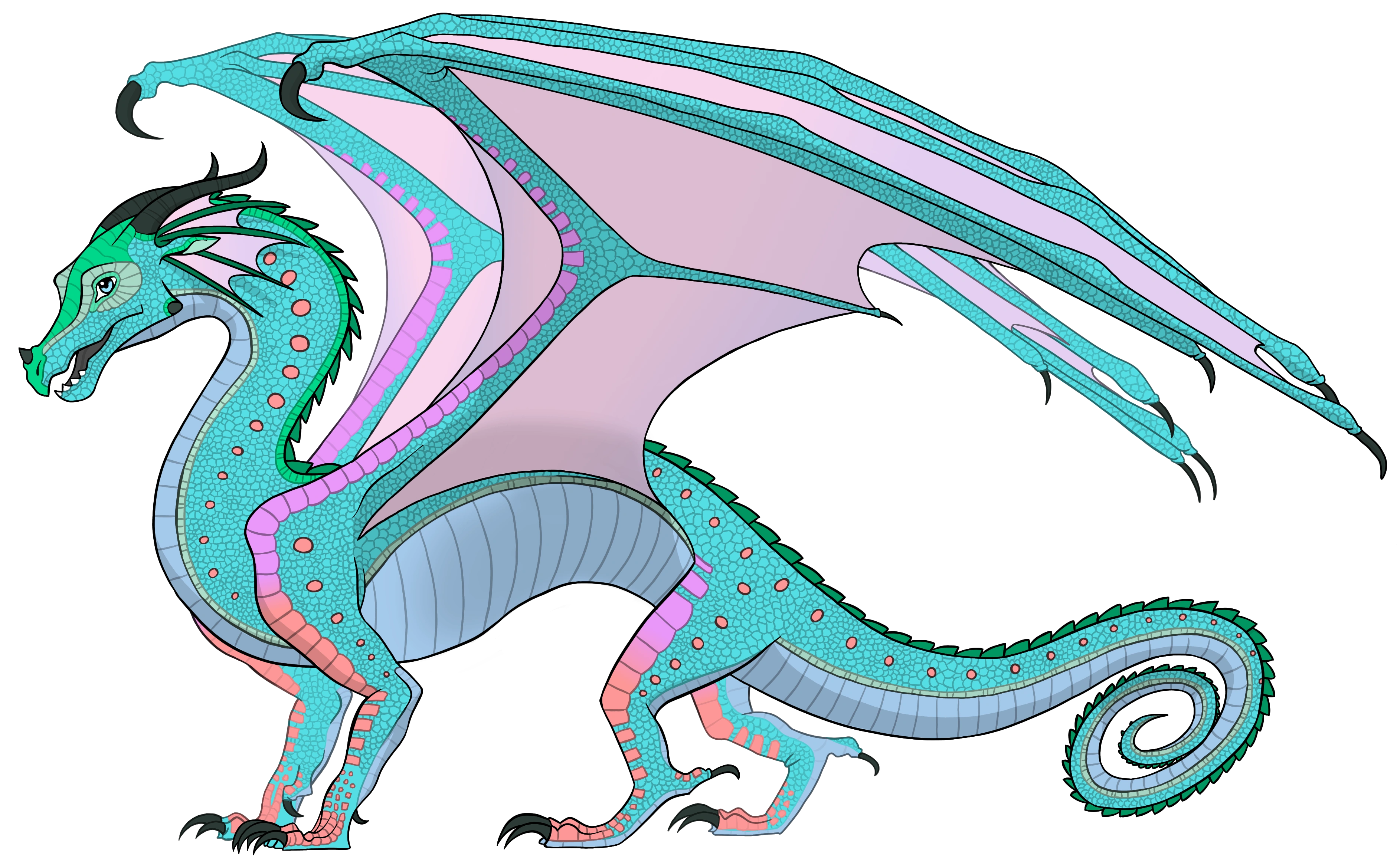 Froyo The Rainwing. Wings of Fire Fanon