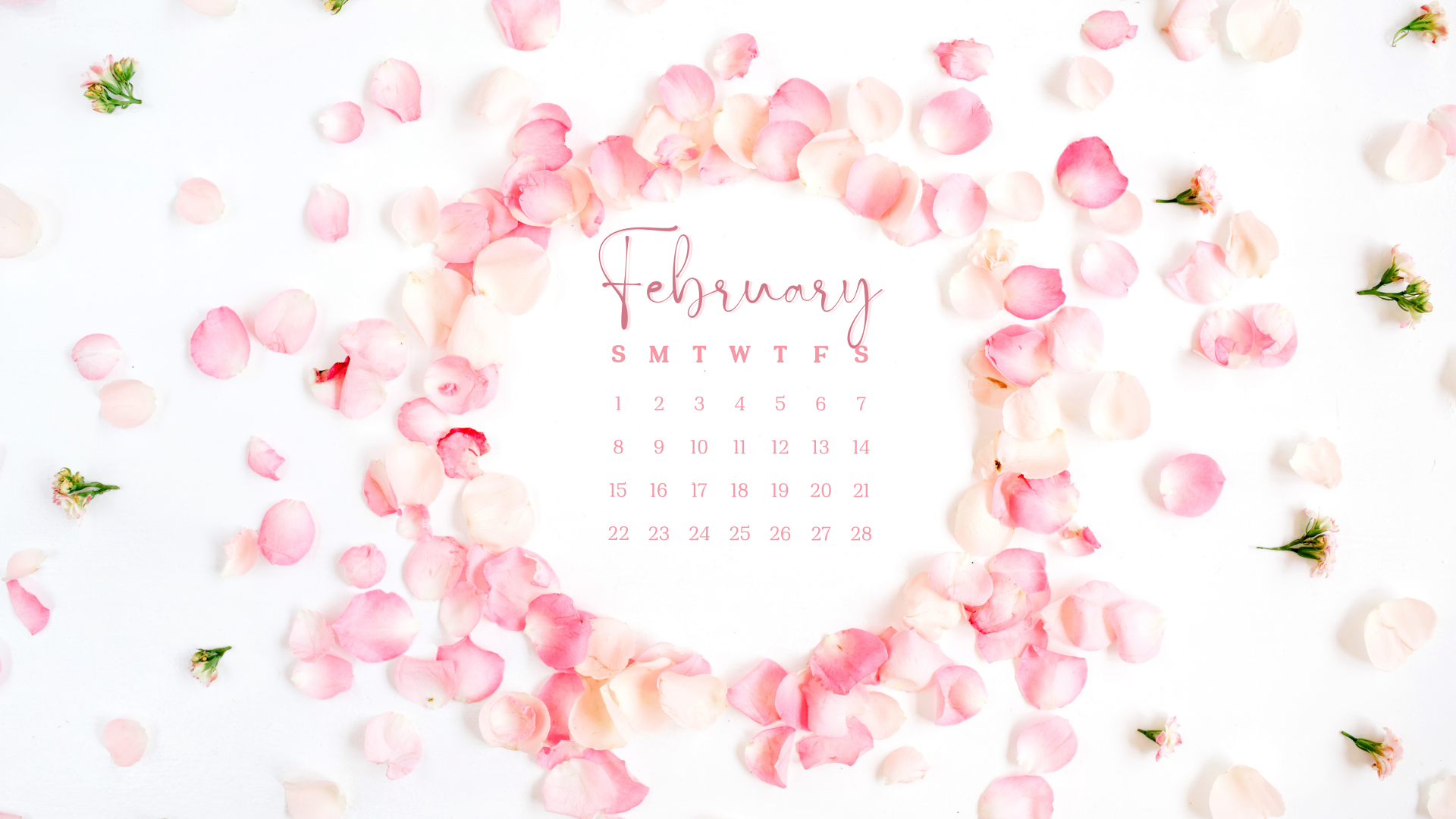 Free February 2026 Desktop Calendar Background (EASY DOWNLOAD)