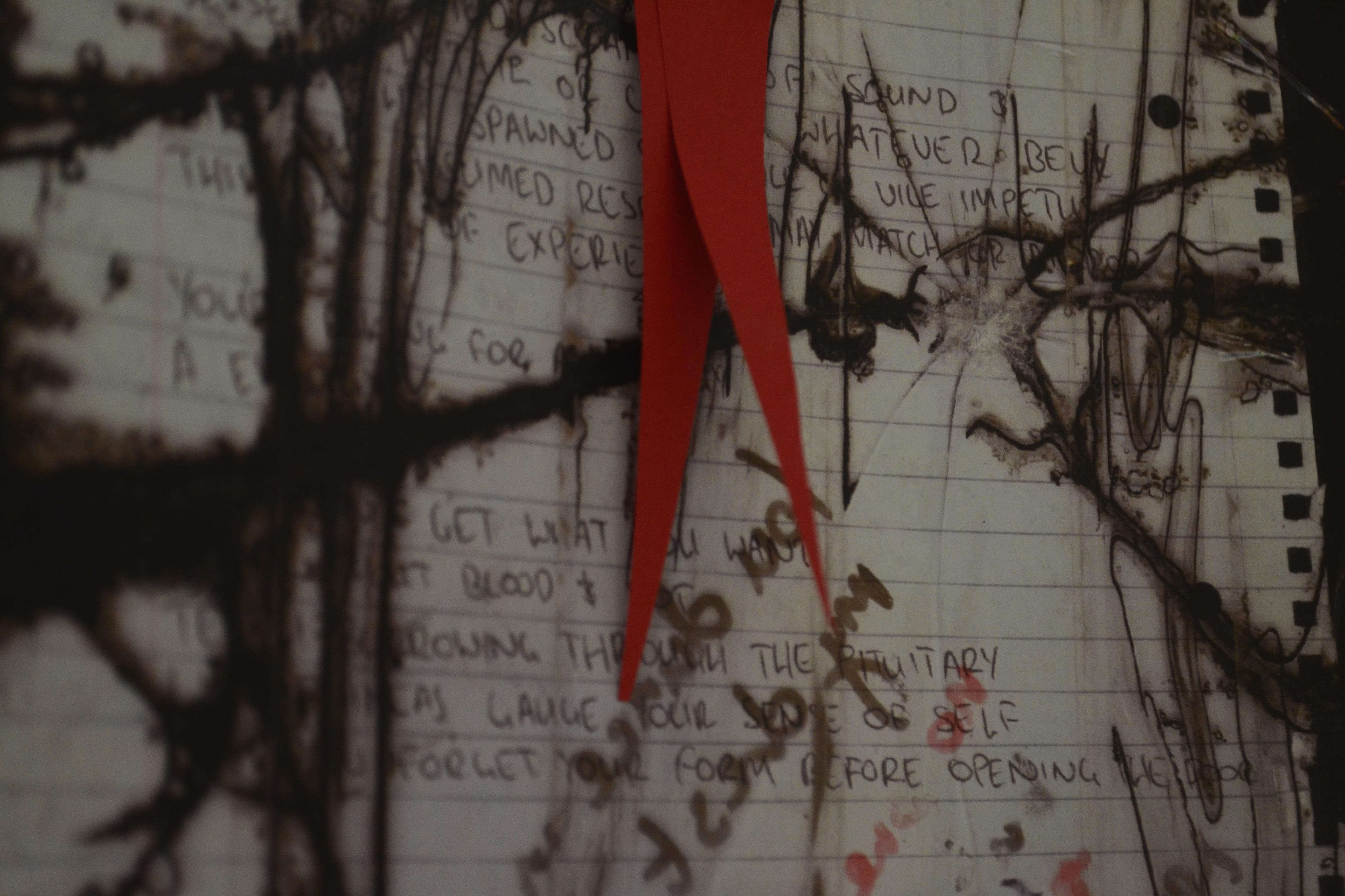 This is not for you (photography: in part, House of Leaves inspired art)