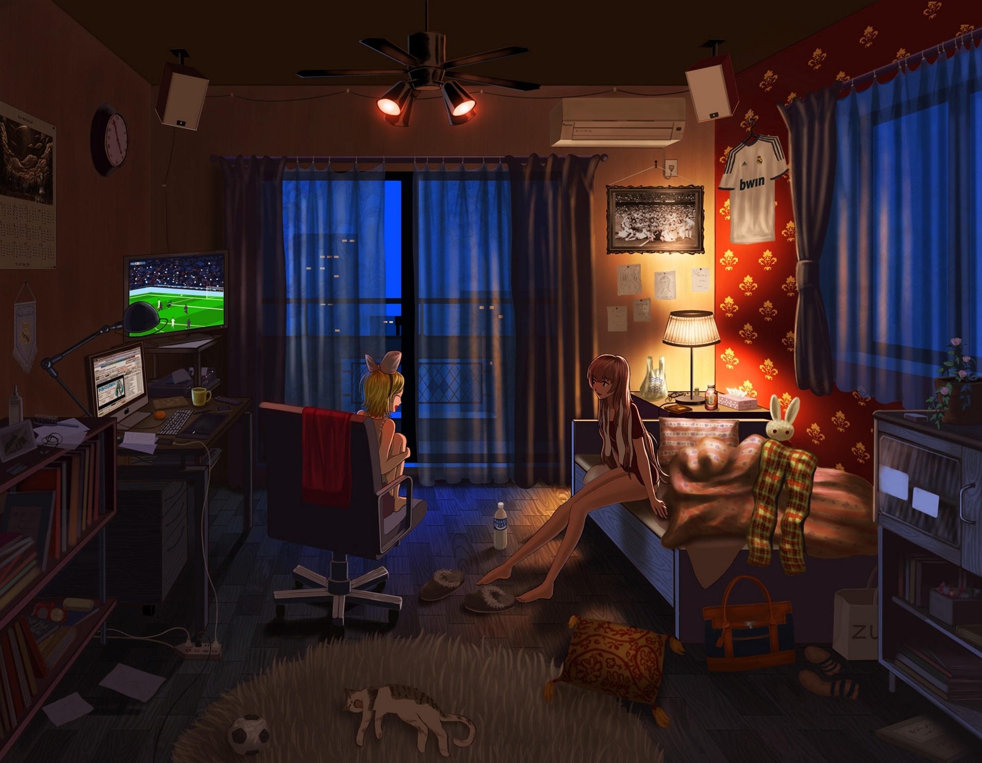 Wallpaper computer, cat, girl, night, lights, room, football, things for mobile and desktop, section арт, resolution 1920x1493