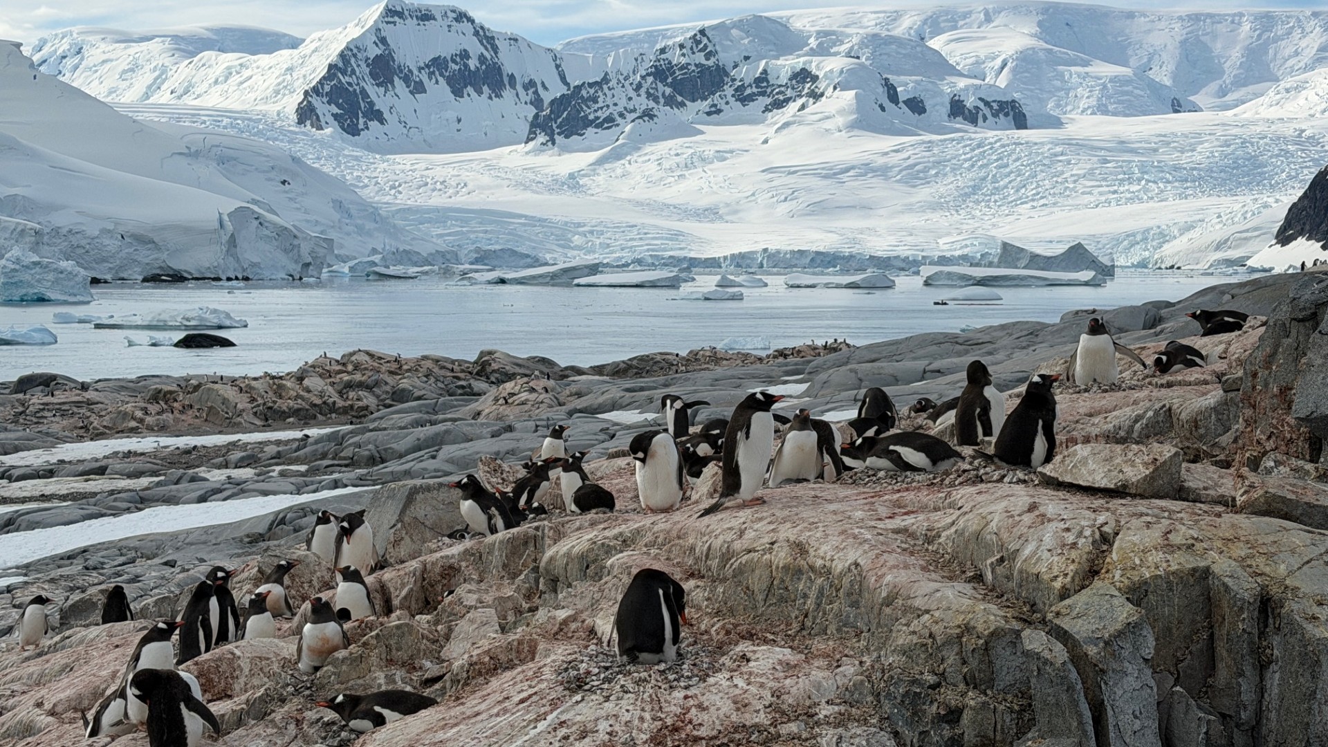 Readers' wildlife photo