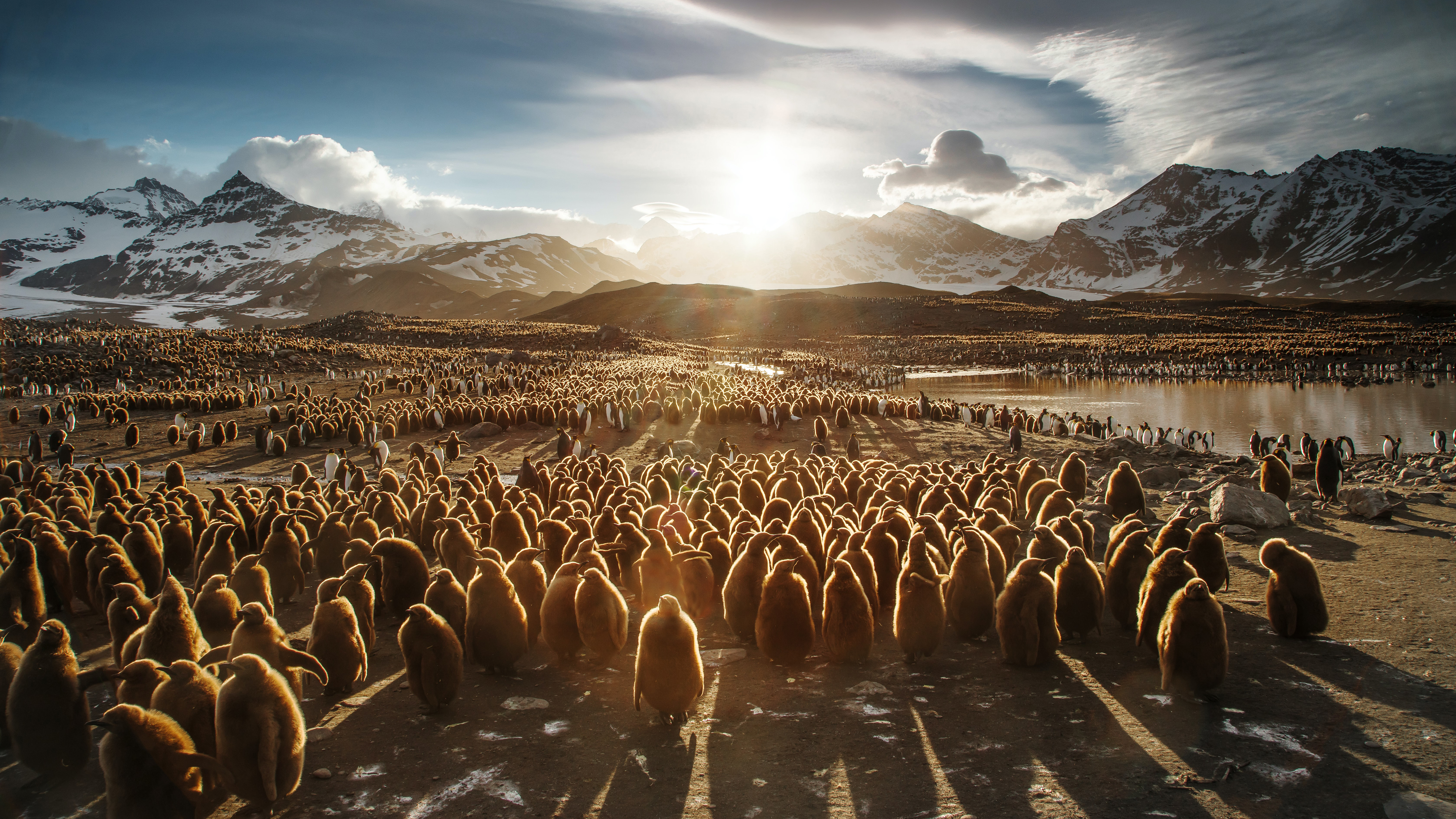 Wallpaper For Computer Sun Passing Through Snow Covered Mountain Under Bunch Of Penguins During Day Time 4K 5K HD Desktop Wallpaper