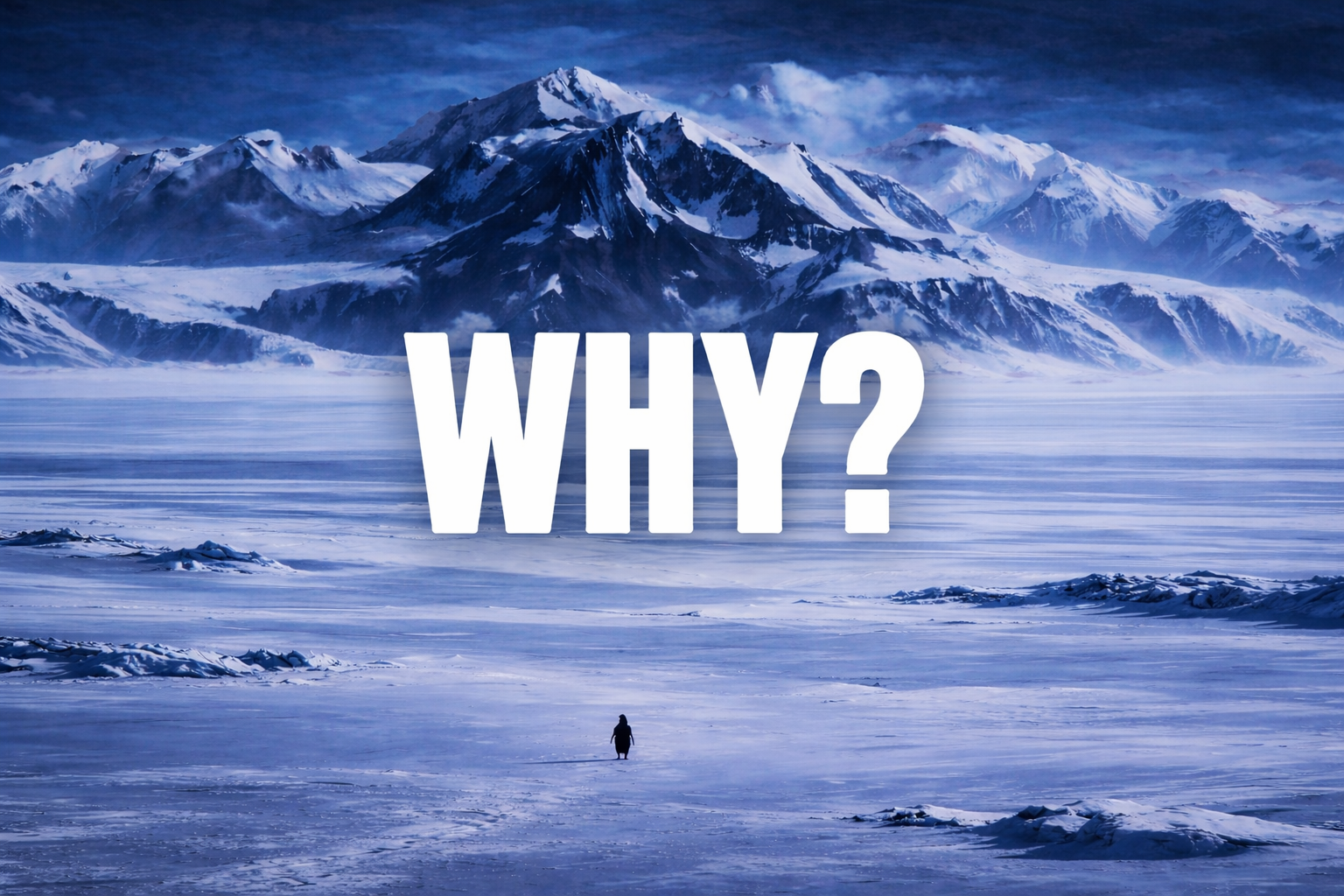 werner herzog nihilist penguin wallpaper