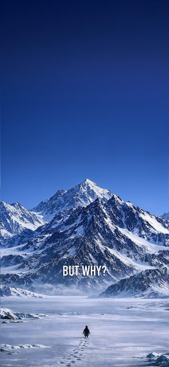 Nihilist Penguin Wallpaper￼s