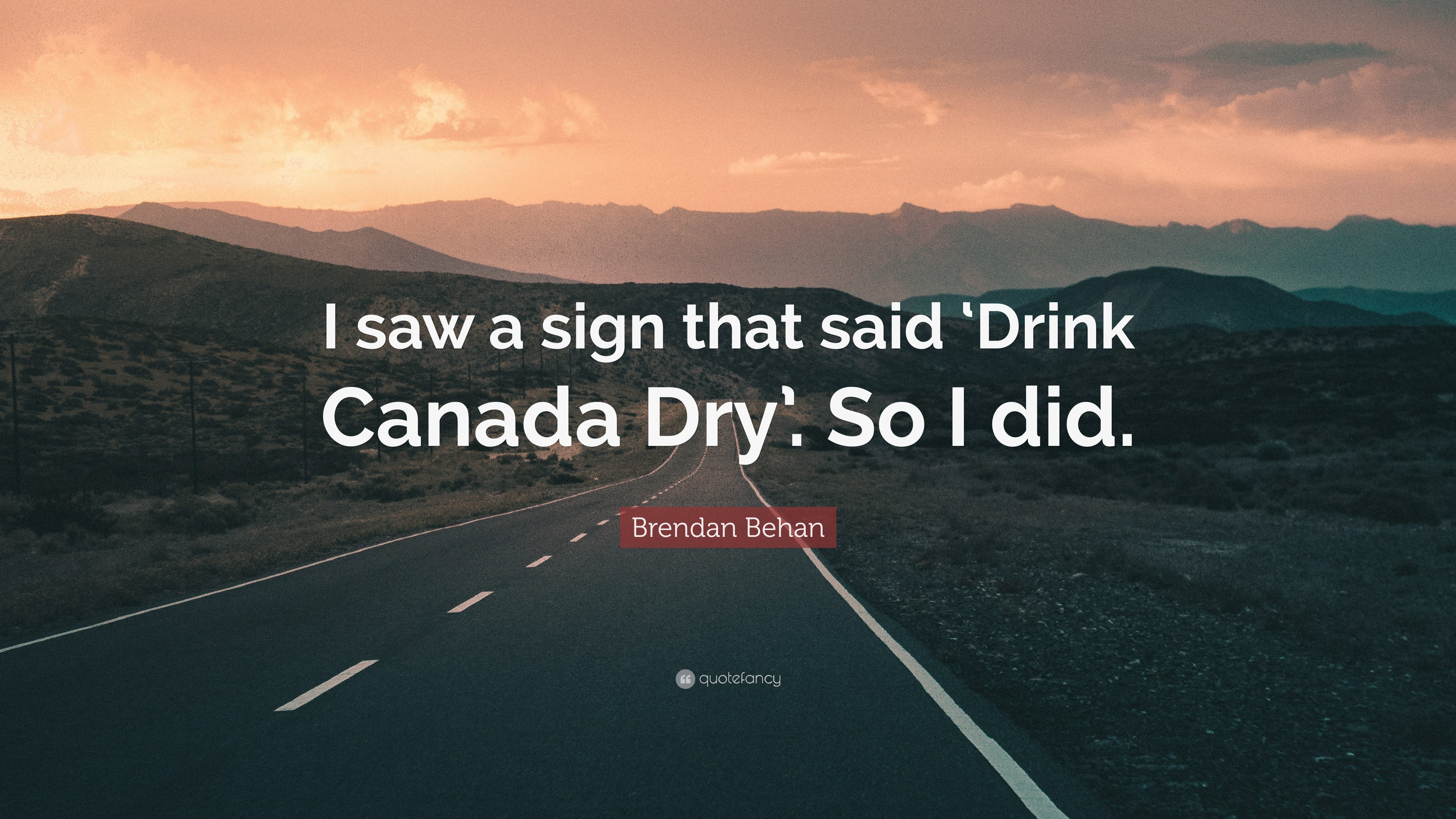 Brendan Behan Quote: “I saw a sign that said 'Drink Canada Dry'. So I did.”