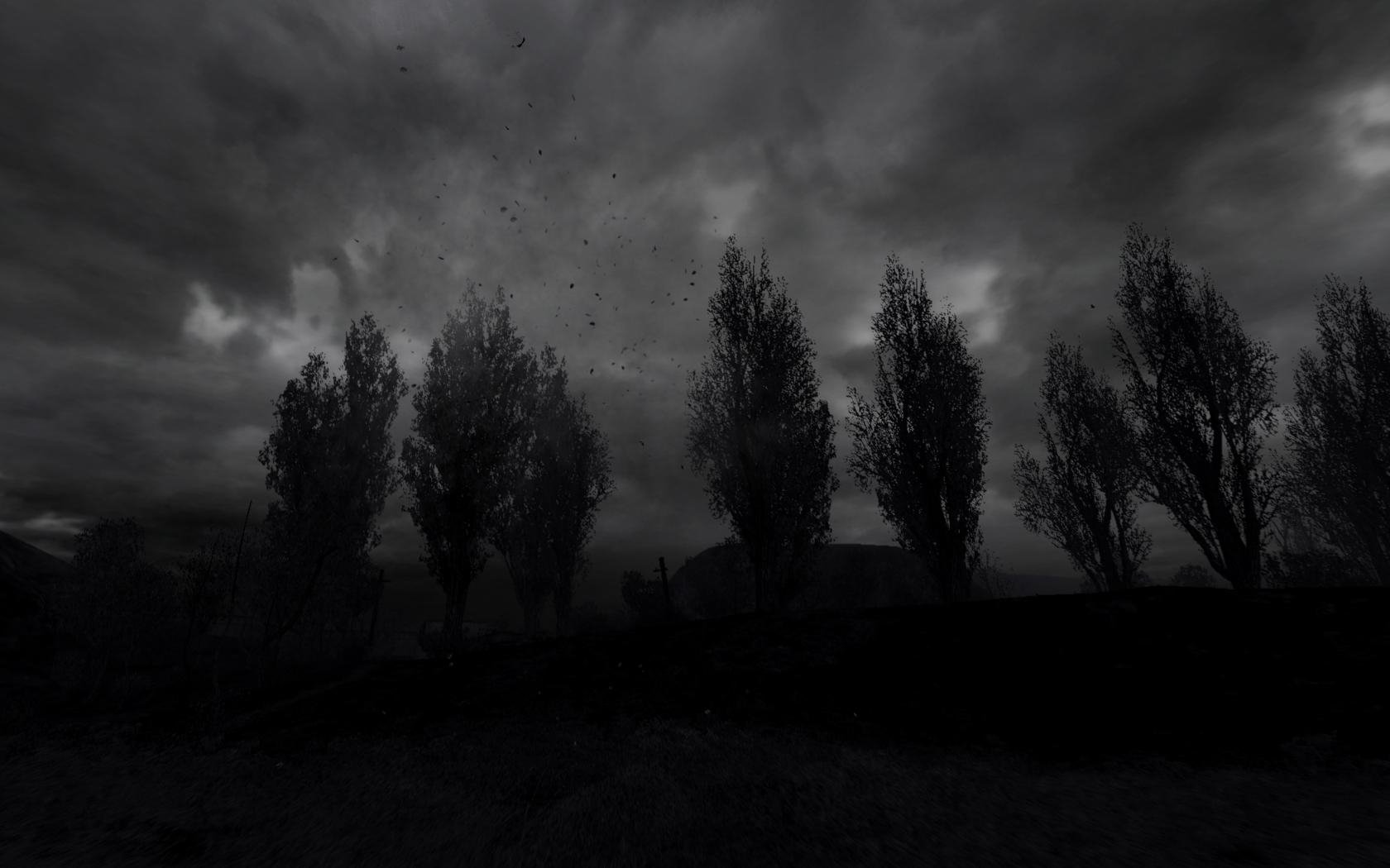 S.T.A.L.K.E.R. Dark Forest HD Wallpaper