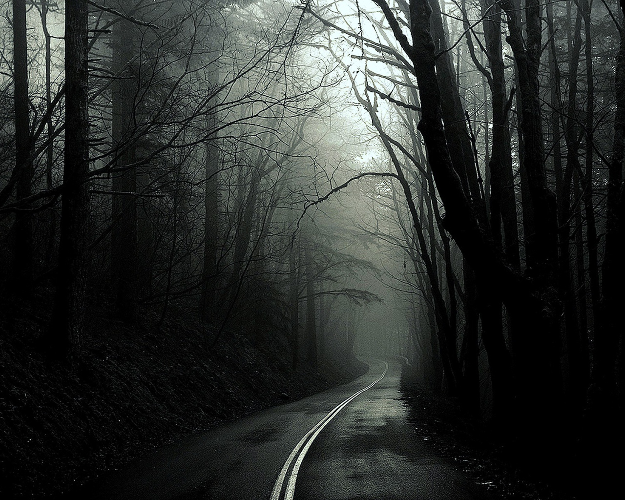 Black forest Desktop wallpaper 1280x1024