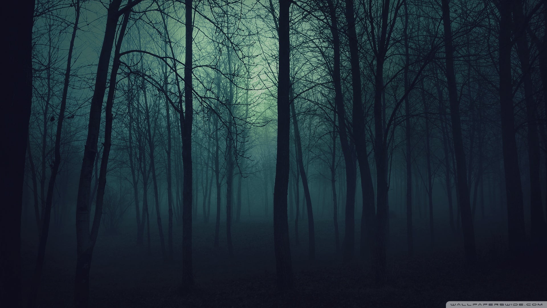 Dark Forest (1920x1080)