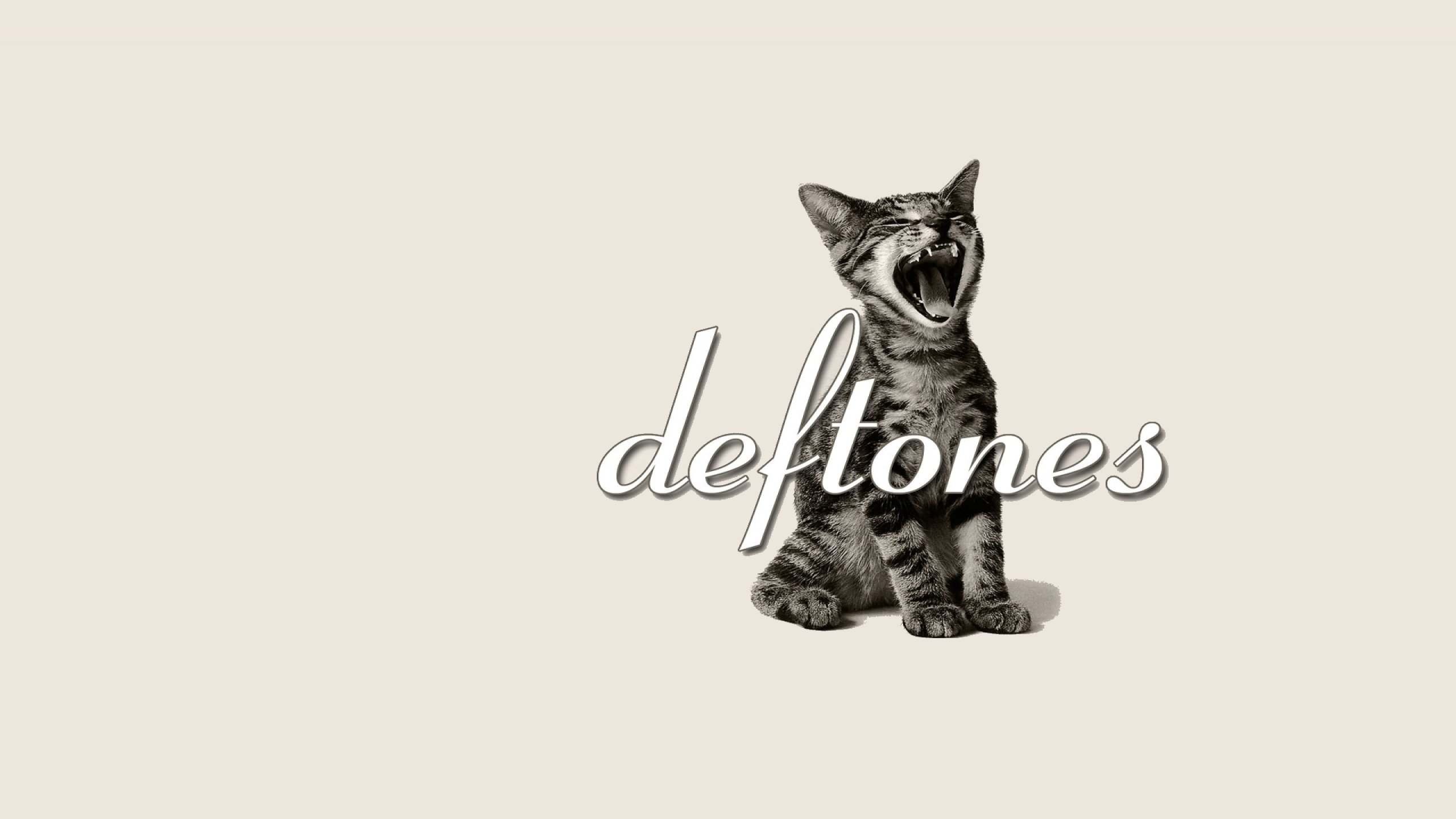 deftones, Alternative, Metal, Experimental, Rock, Nu metal, Heavy, Hard, Cat, Kitten Wallpaper HD / Desktop and Mobile Background