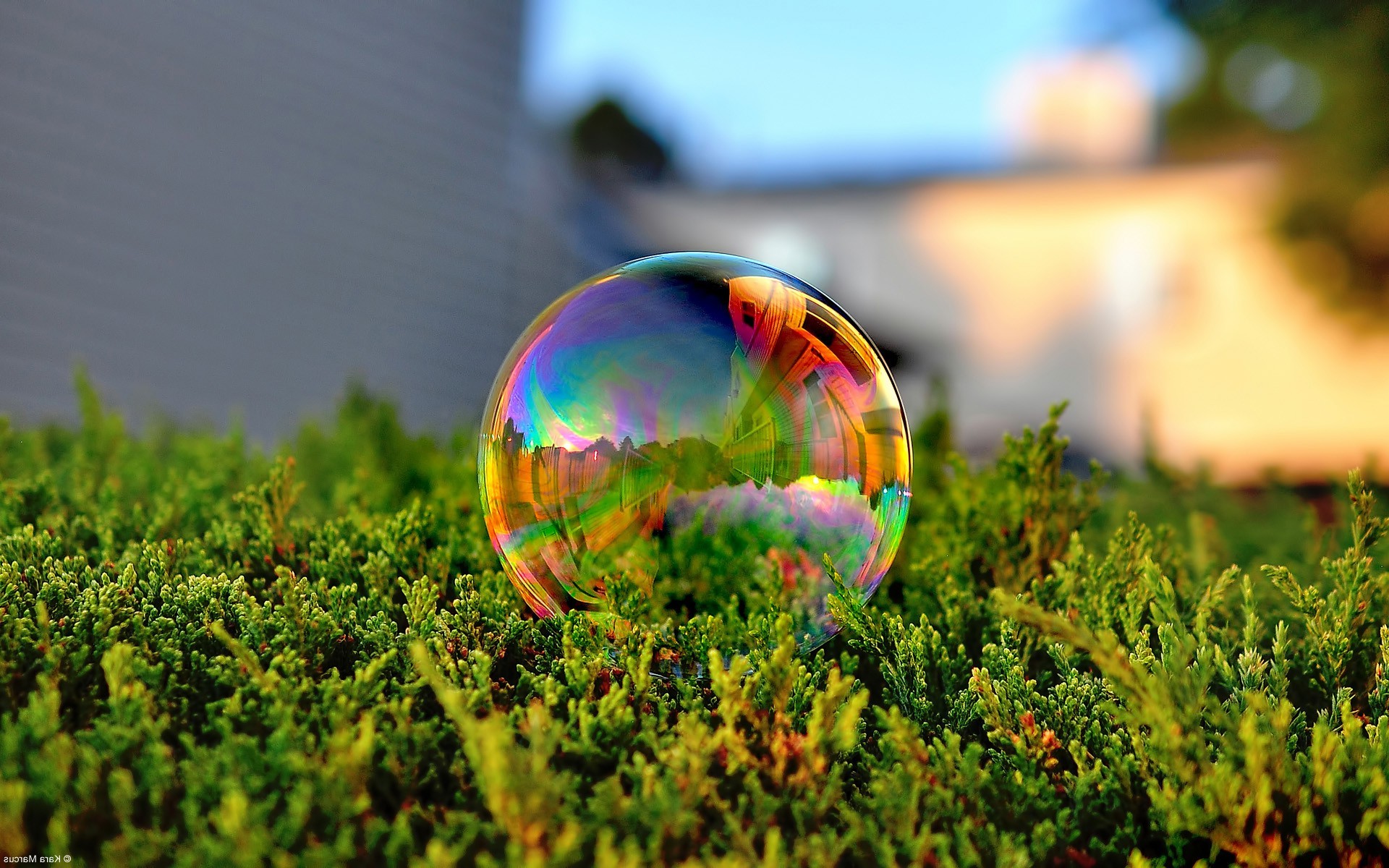 bubbles, Nature Wallpaper HD / Desktop and Mobile Background