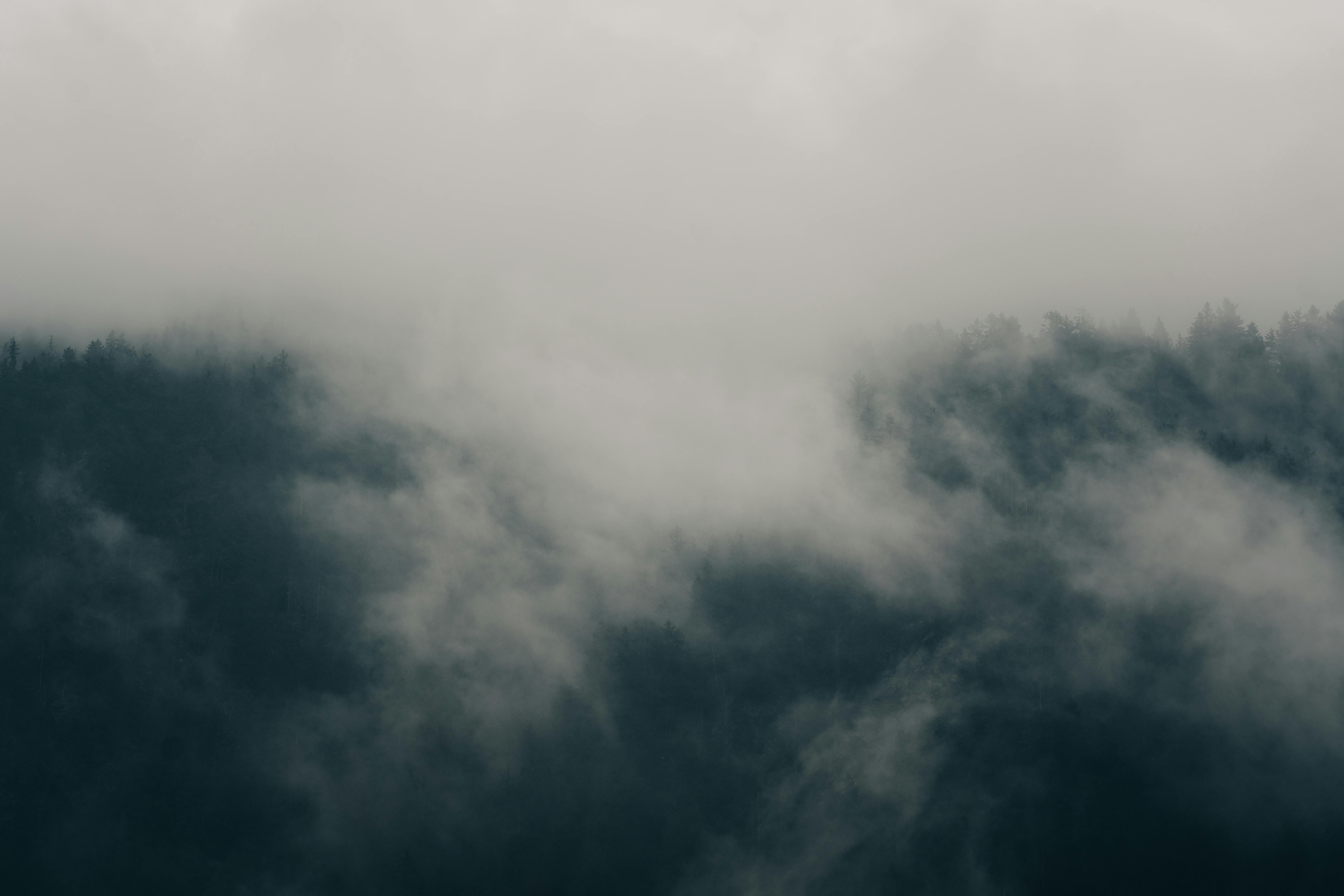 Fog Photo, Download The BEST Free Fog & HD Image
