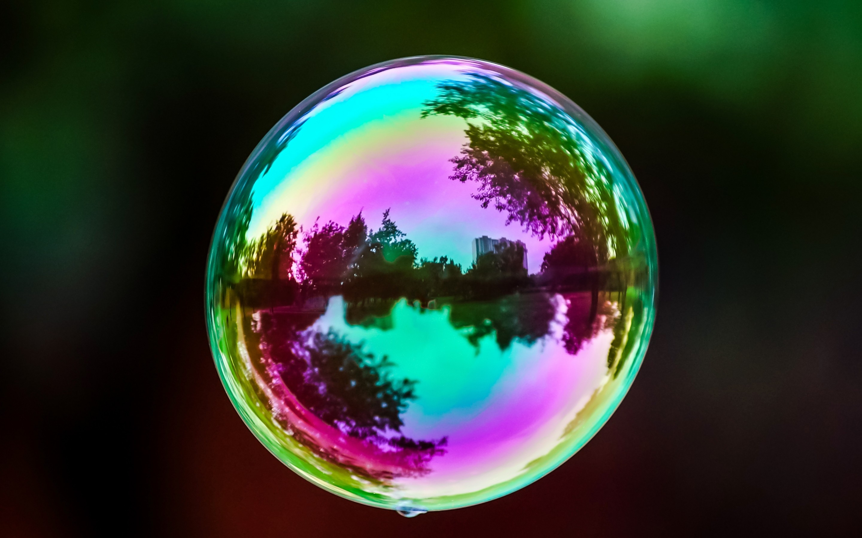 Vivid Reflection: HD Bubble Photography Wallpaper