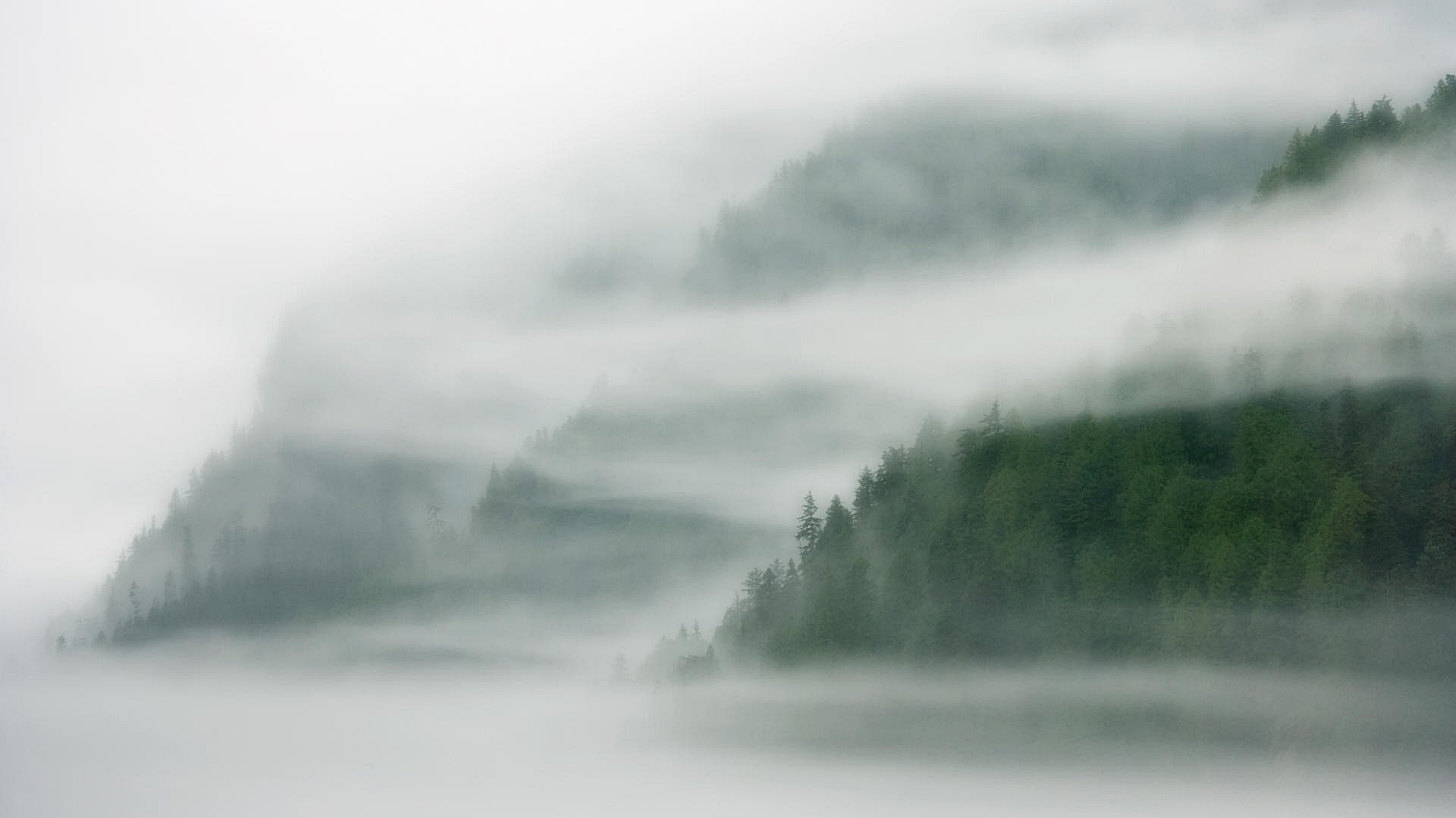 Fog Wallpaper Desktop Background Wallpaper & Background Download