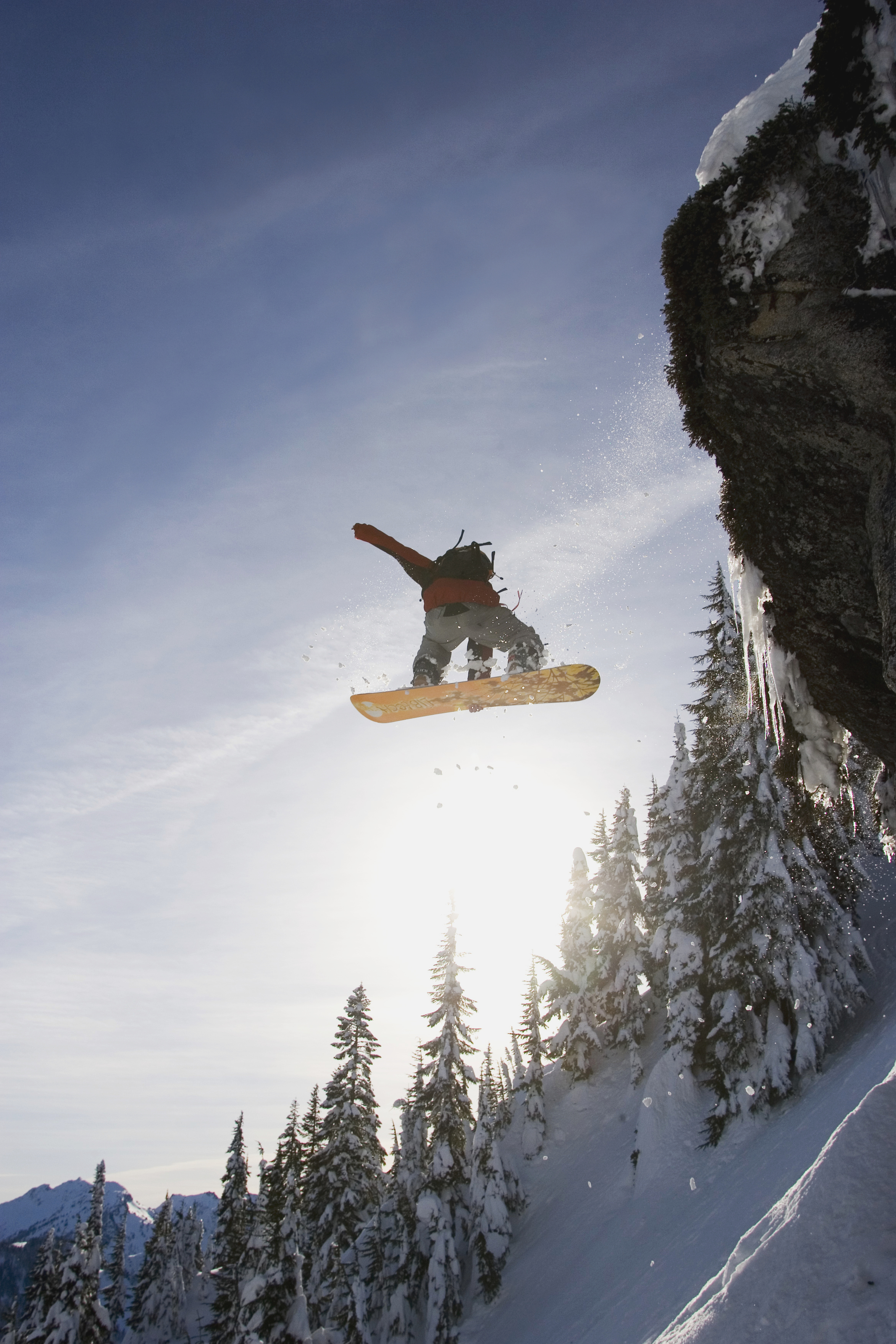 Snowboarding Steven's Pass Wall Mural
