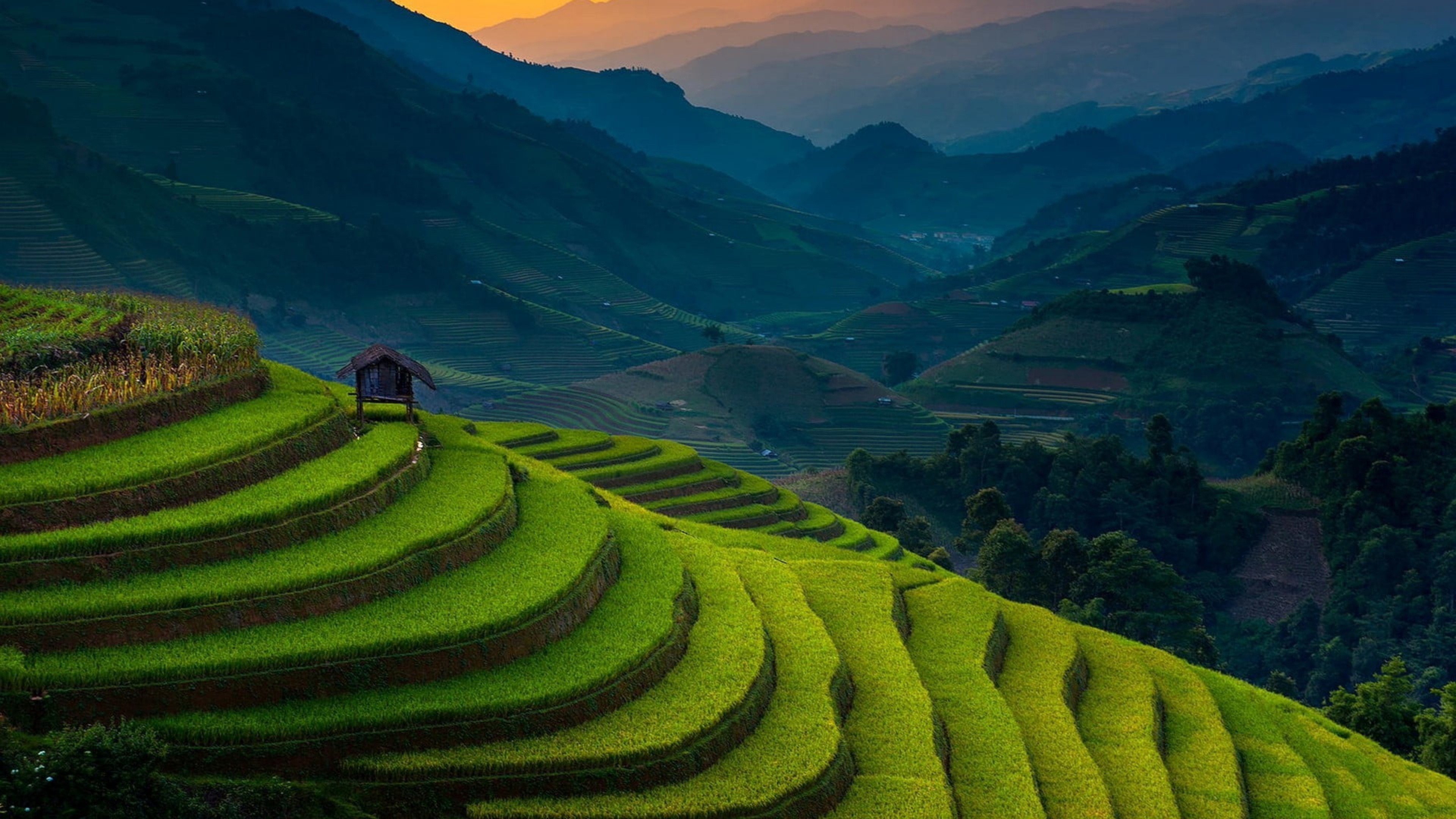 Landscape Photography Of Rice Terraces 4K HD Nature Wallpaper