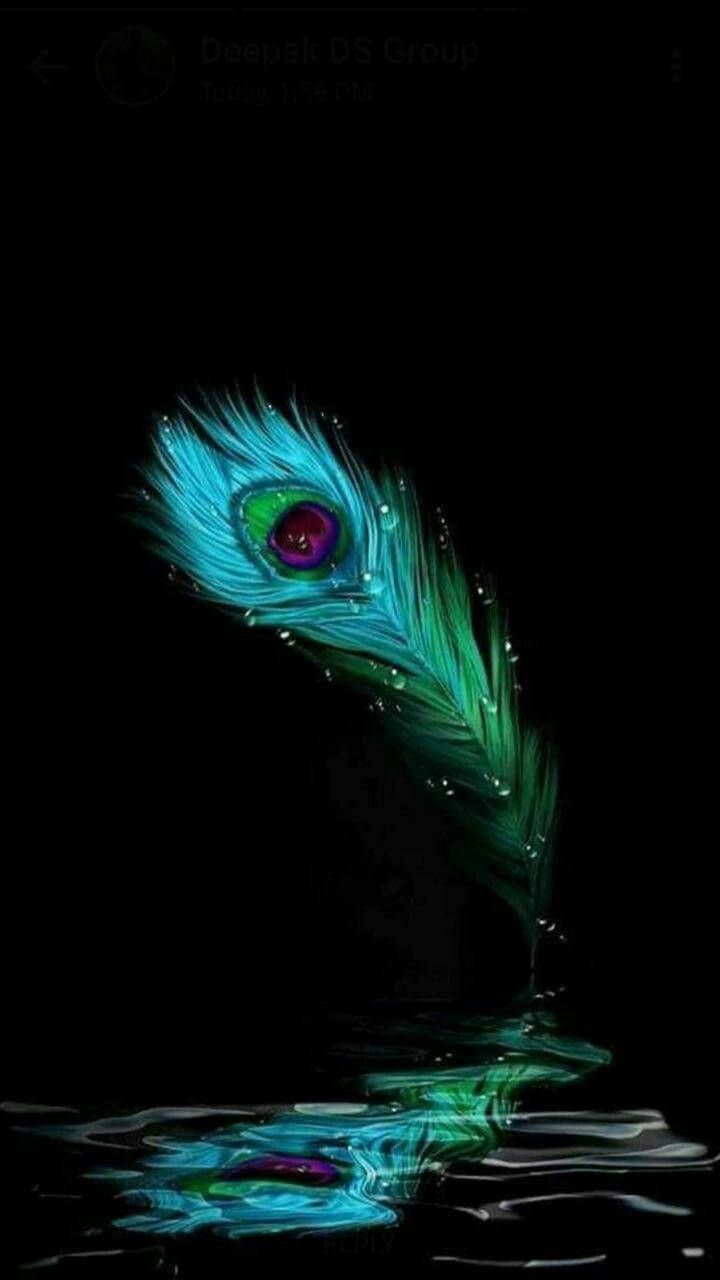 Download Krishna iPhone Peacock Feather Reflection Wallpaper