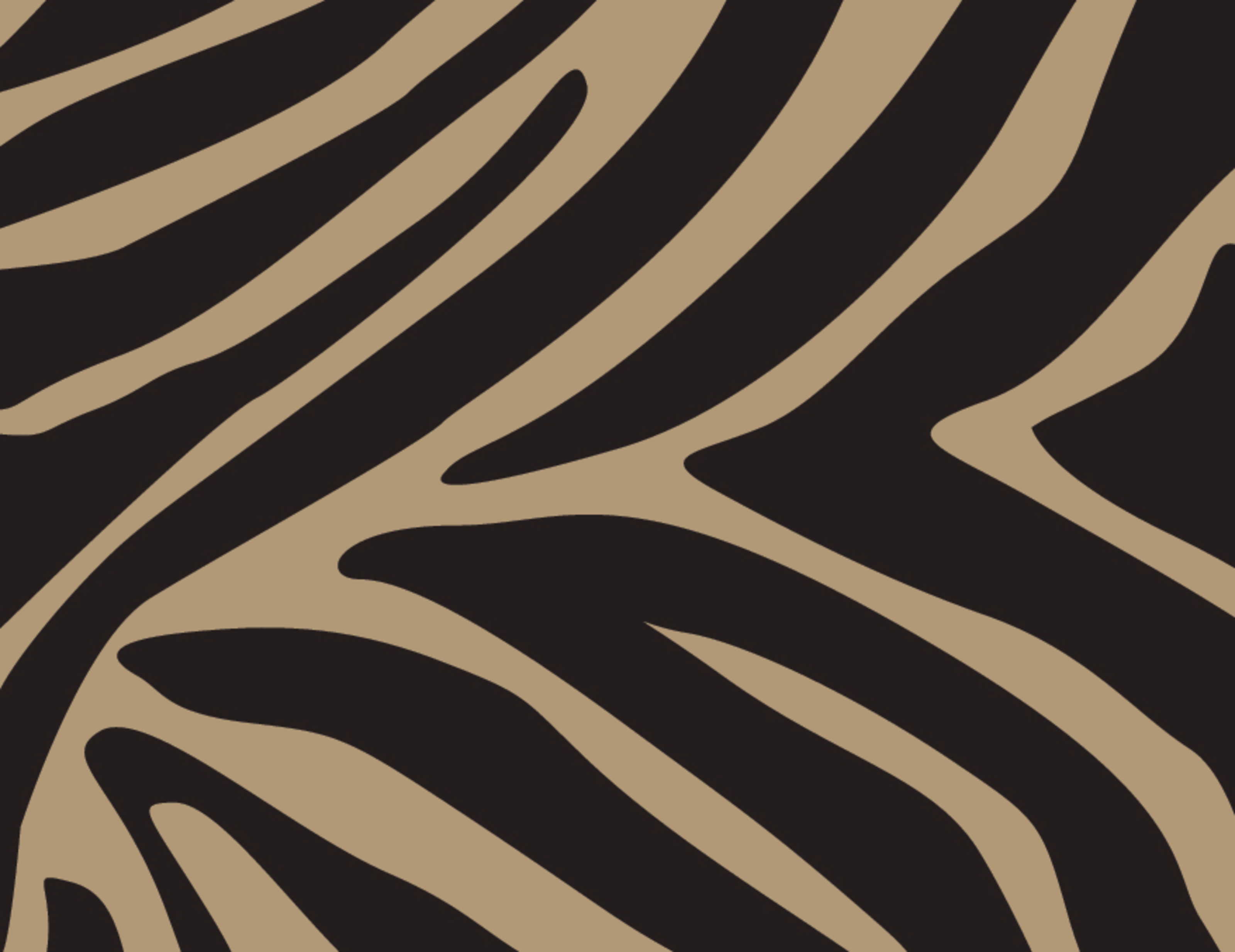 Black Zebra Wallpaper