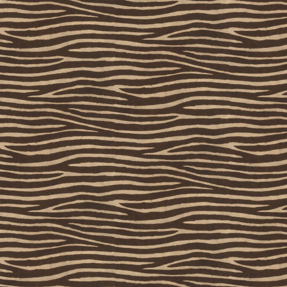Zebra Stripes by Albany Brown and Beige