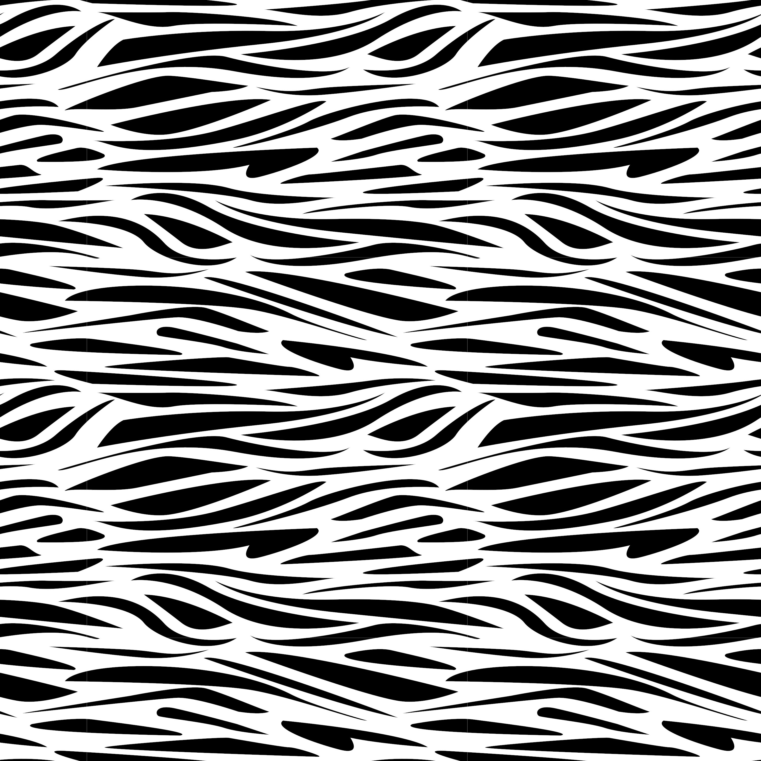 Black and white zebra stripe pattern. vector