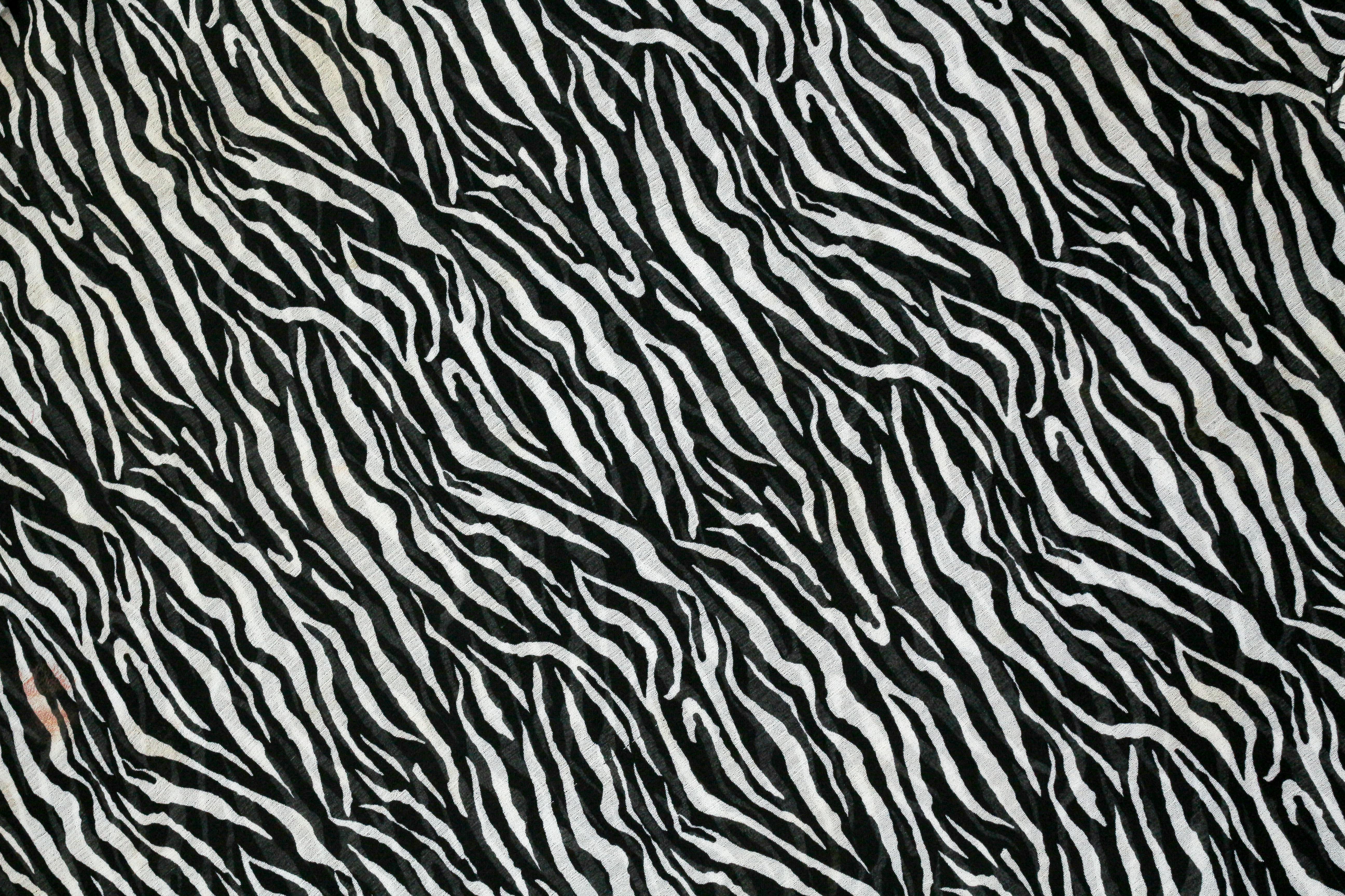 Black and White Animal Print Wallpaper · Free