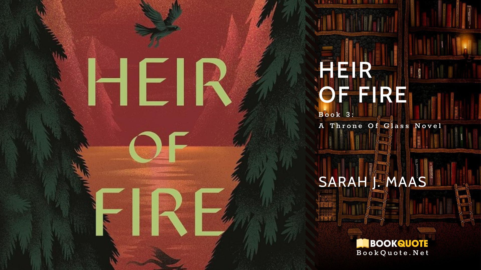 Reviews & Quotes Heir of Fire by Sarah J. Maas