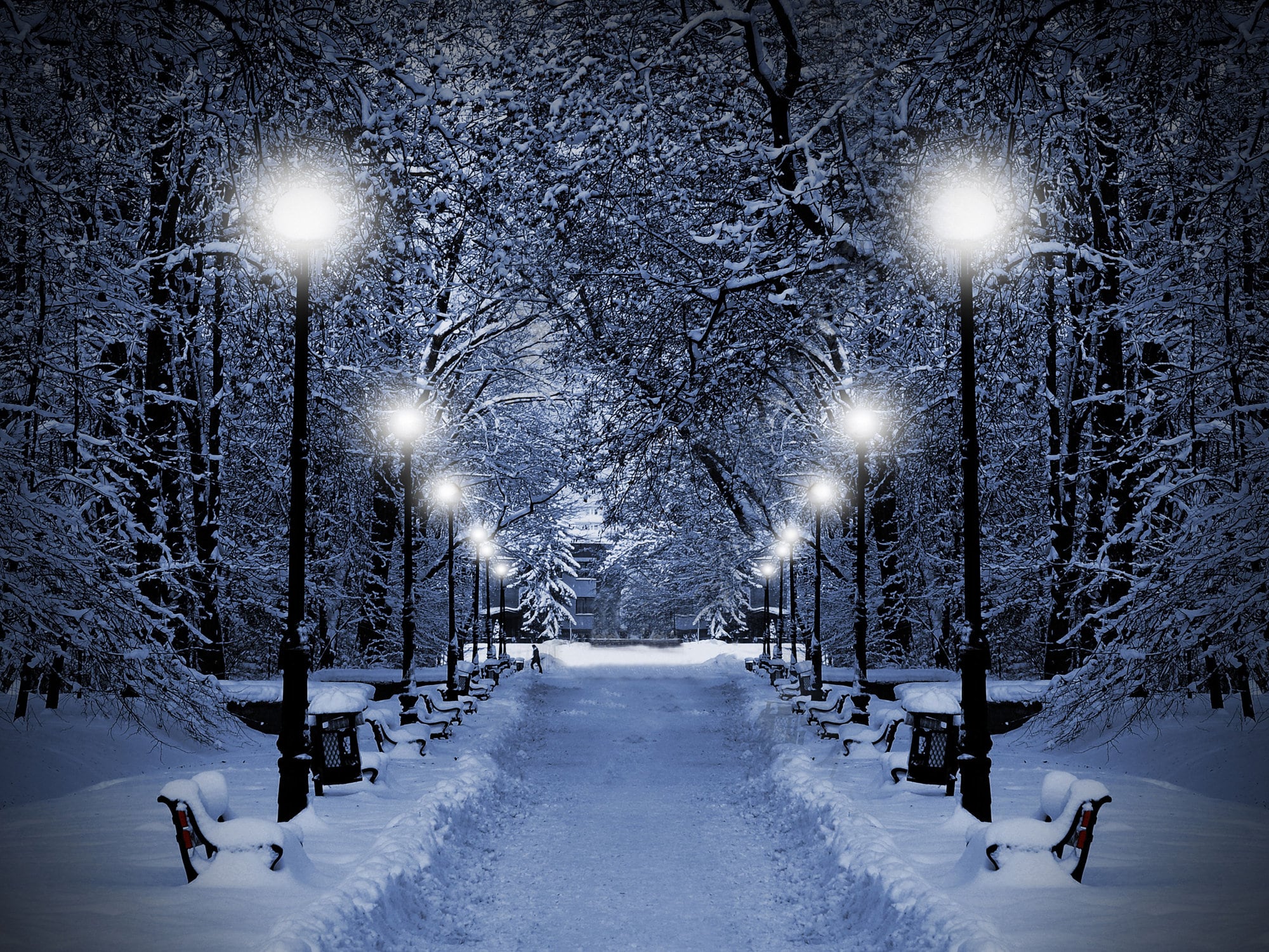 Winter and Snow 3D Wallpaper Mural / Winter En Sneeuw 3D Fotobehang / Winter Und Schnee 3D Fototapete Wandbild / Foto Papel Tapiz / Poster