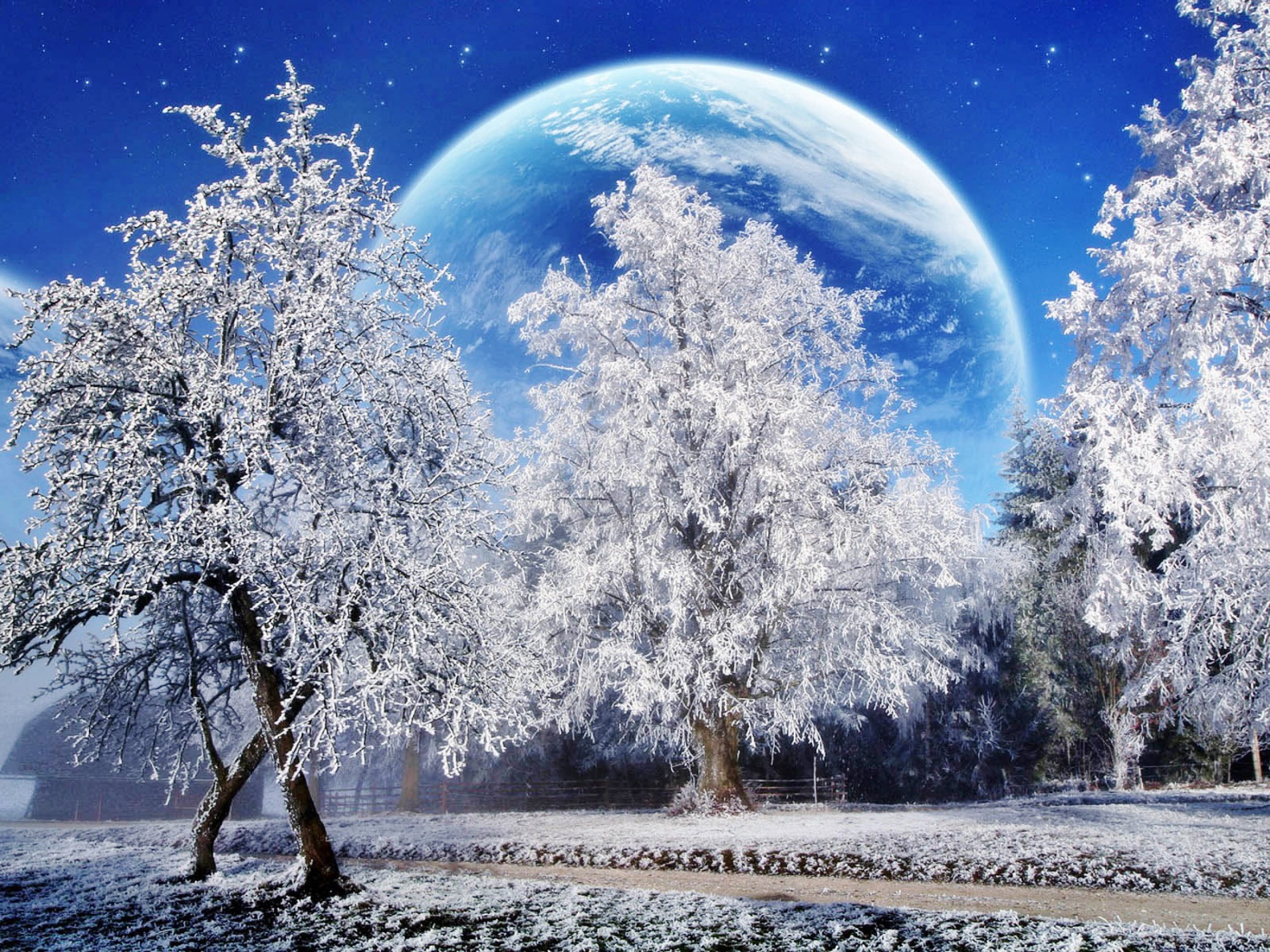 3D, Winter Wallpaper HD / Desktop and Mobile Background