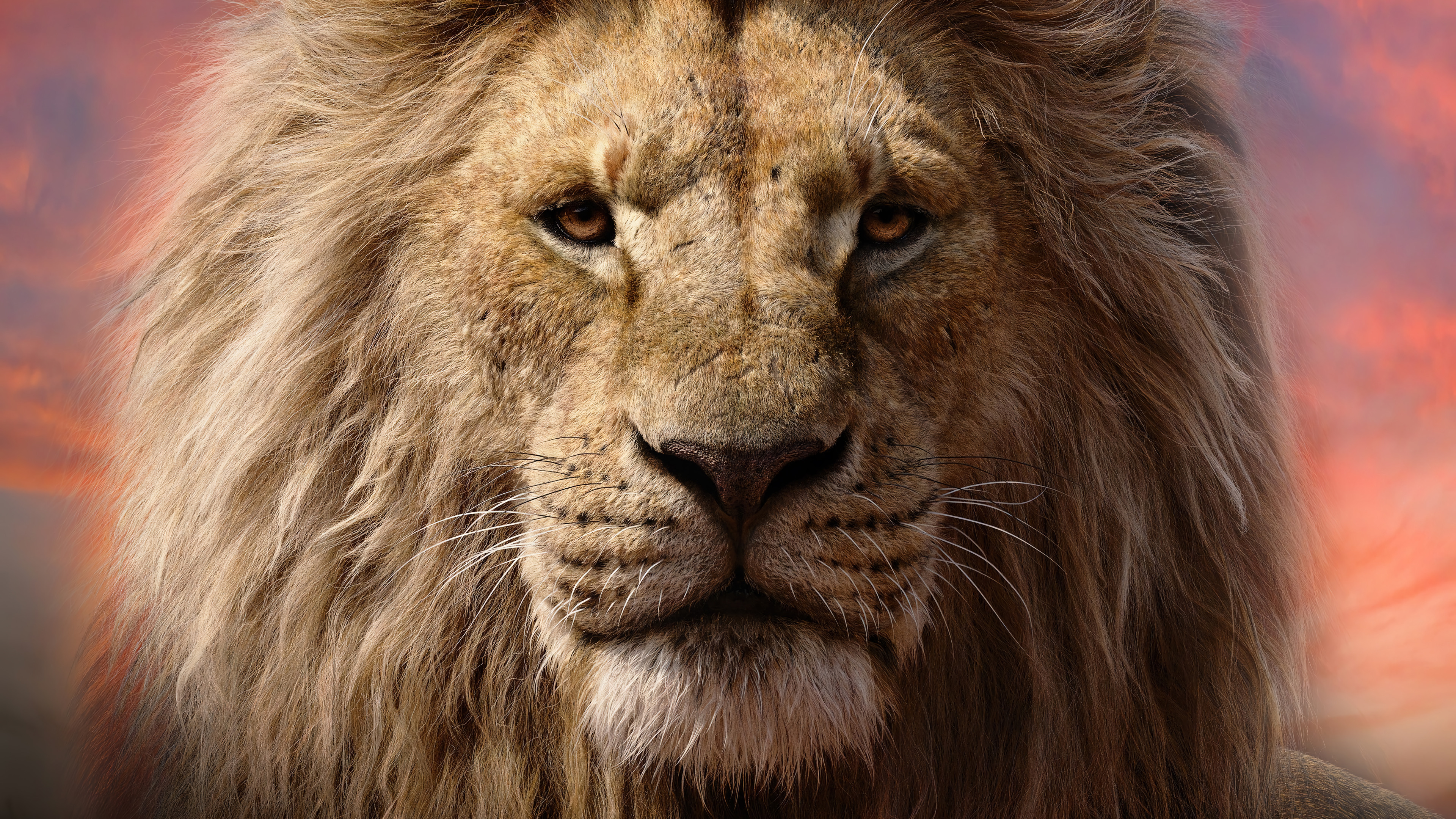 Mufasa: The Lion King Ultra HD Wallpaper