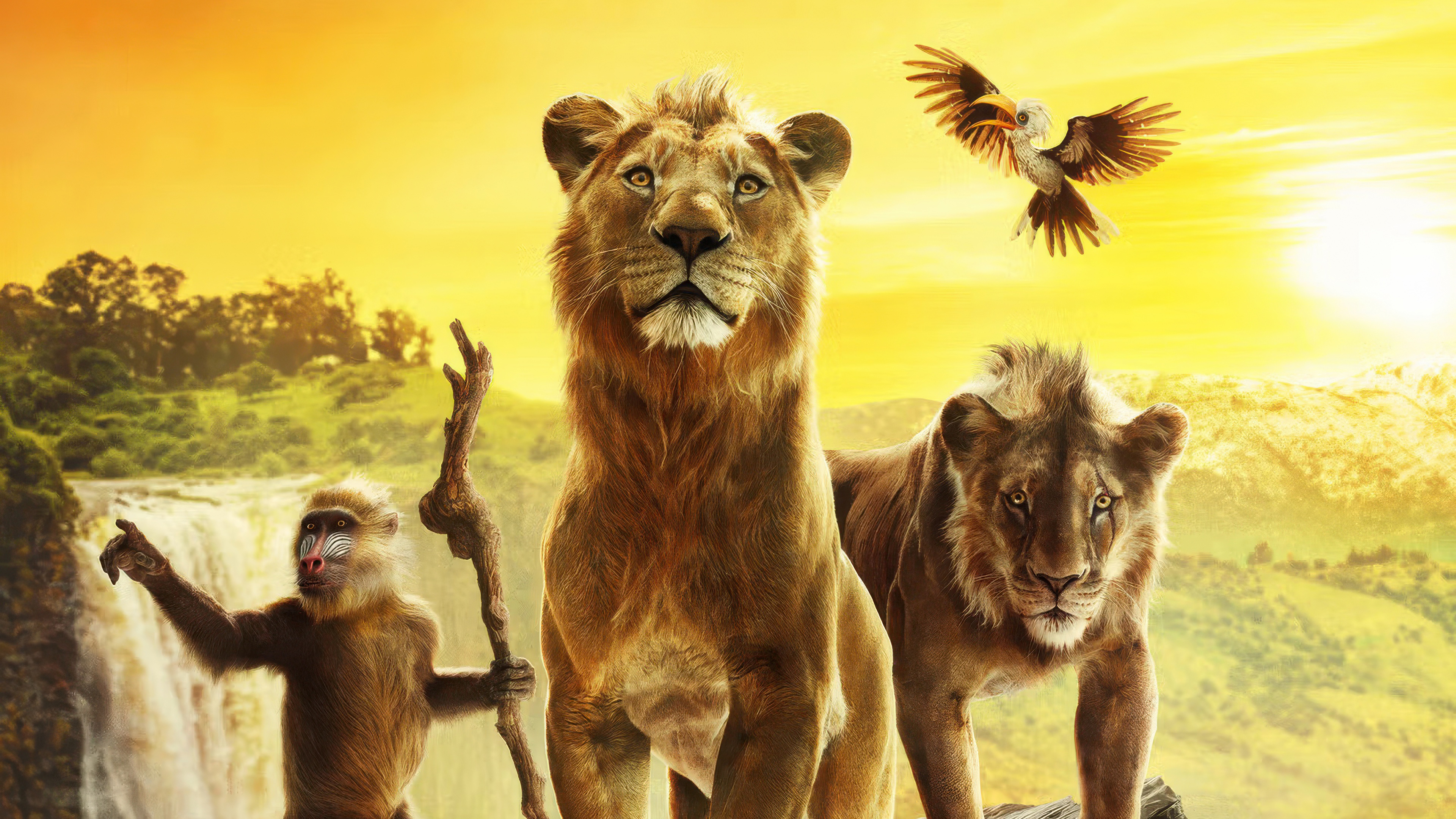 Mufasa The Lion King Poster Wallpaper, HD Movies Wallpaper, 4k Wallpaper Image, Background, Photos and Picture