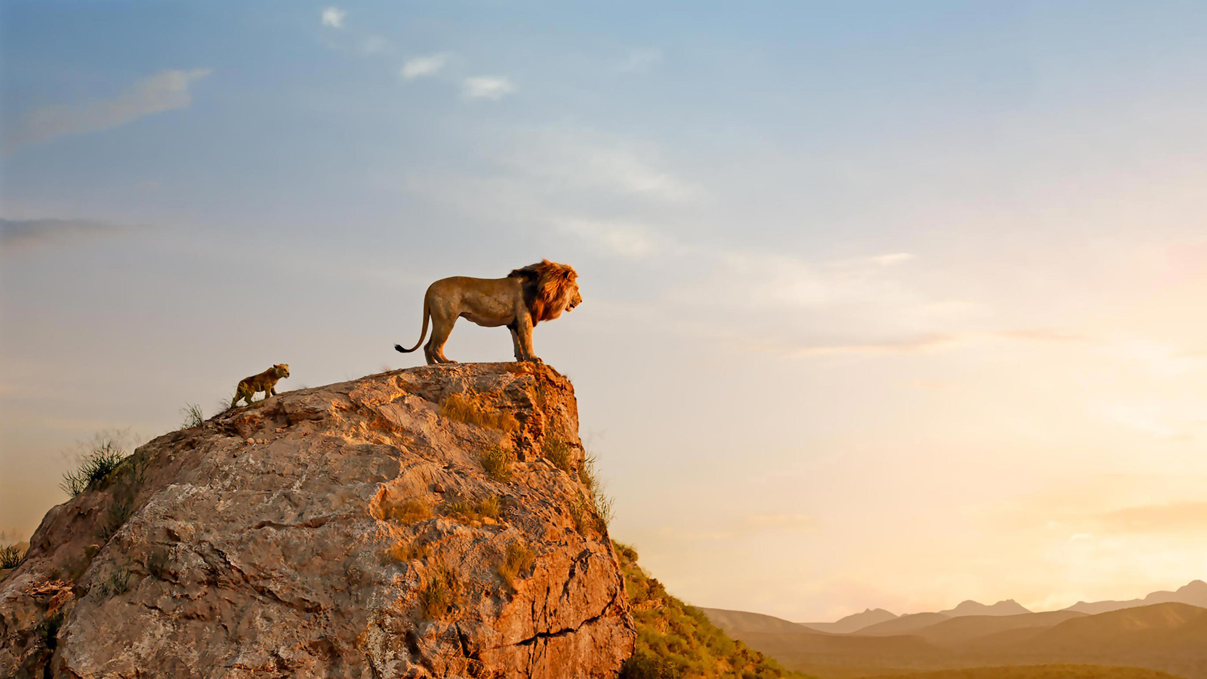Mufasa The Lion King Disney Best Wallpaper