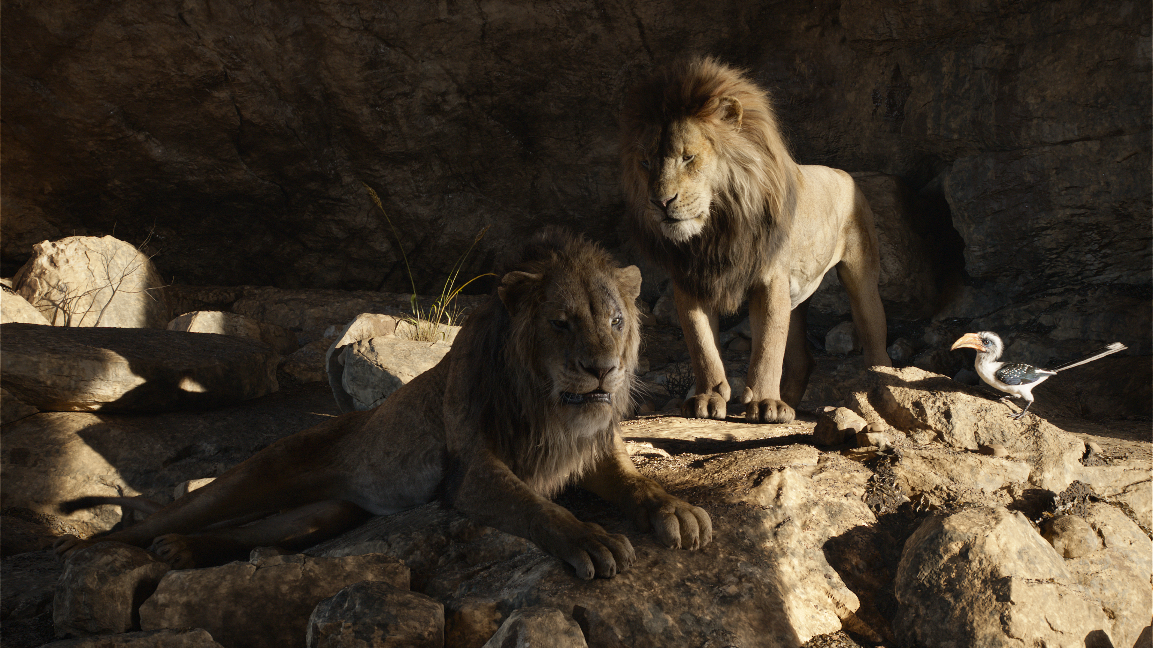 Mufasa Simba 4K HD The Lion King Wallpaper
